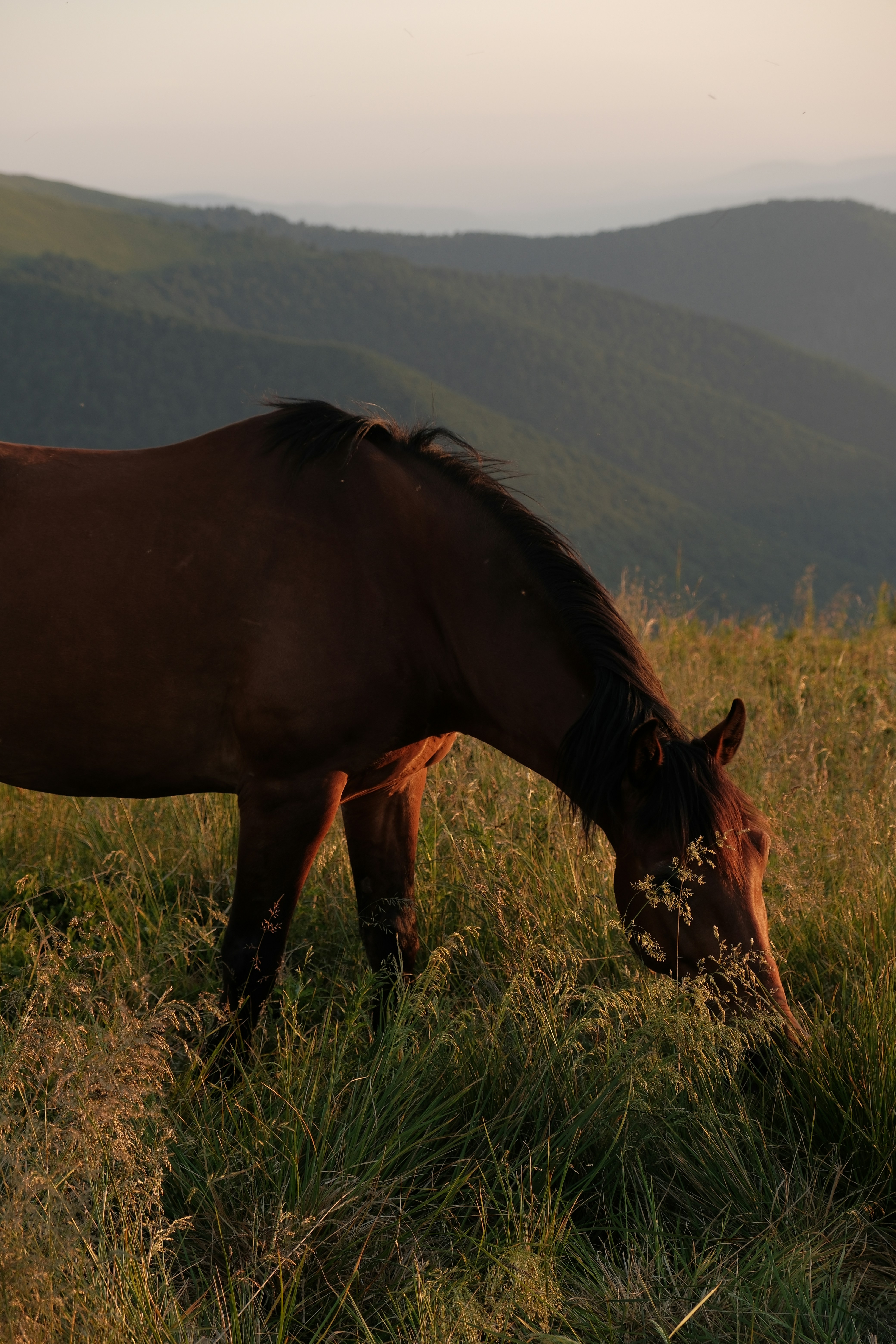 Photo by vesyniavska