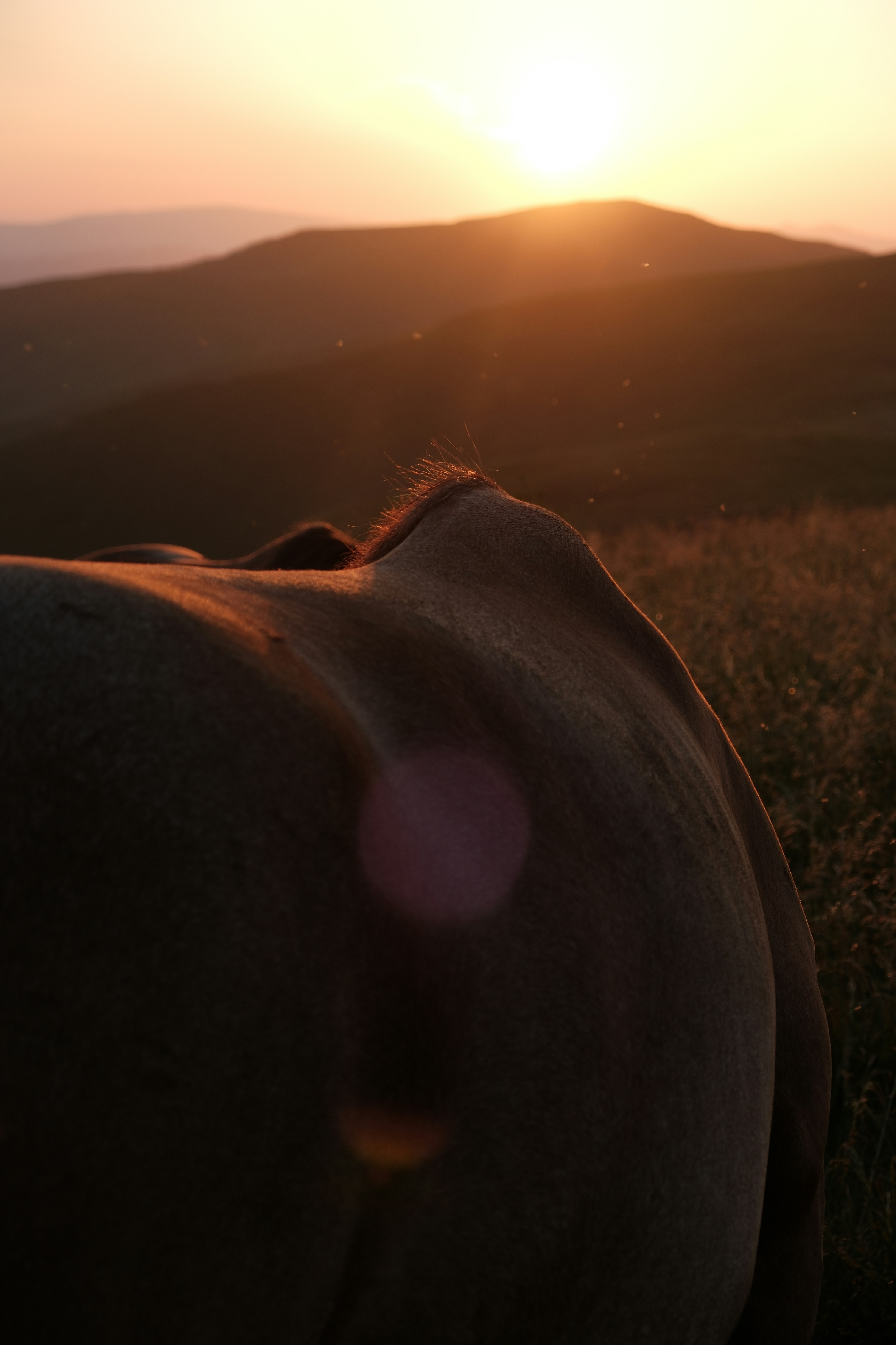 Photo by vesyniavska