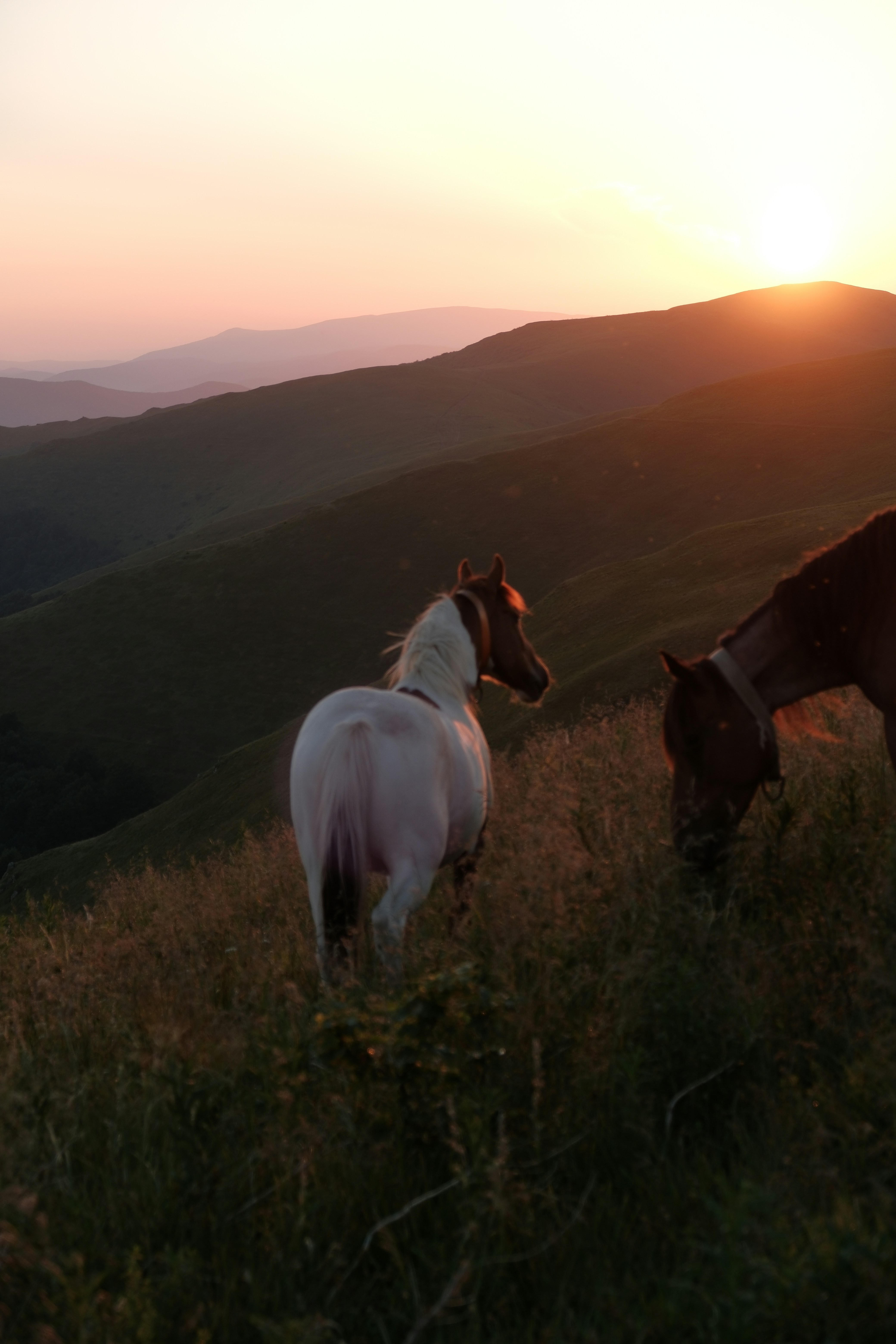 Photo by vesyniavska