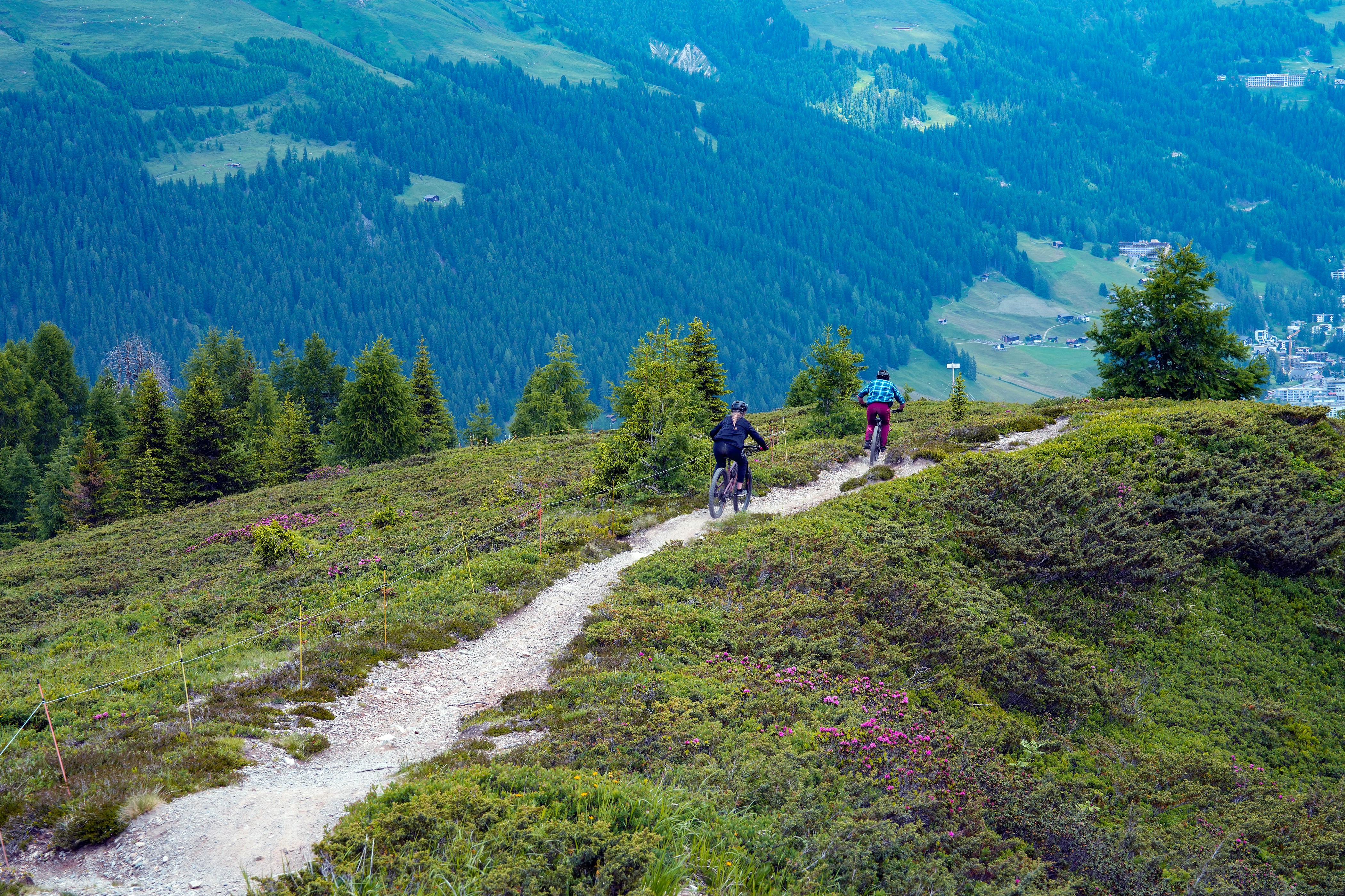 A couple of people riding bikes down a trail