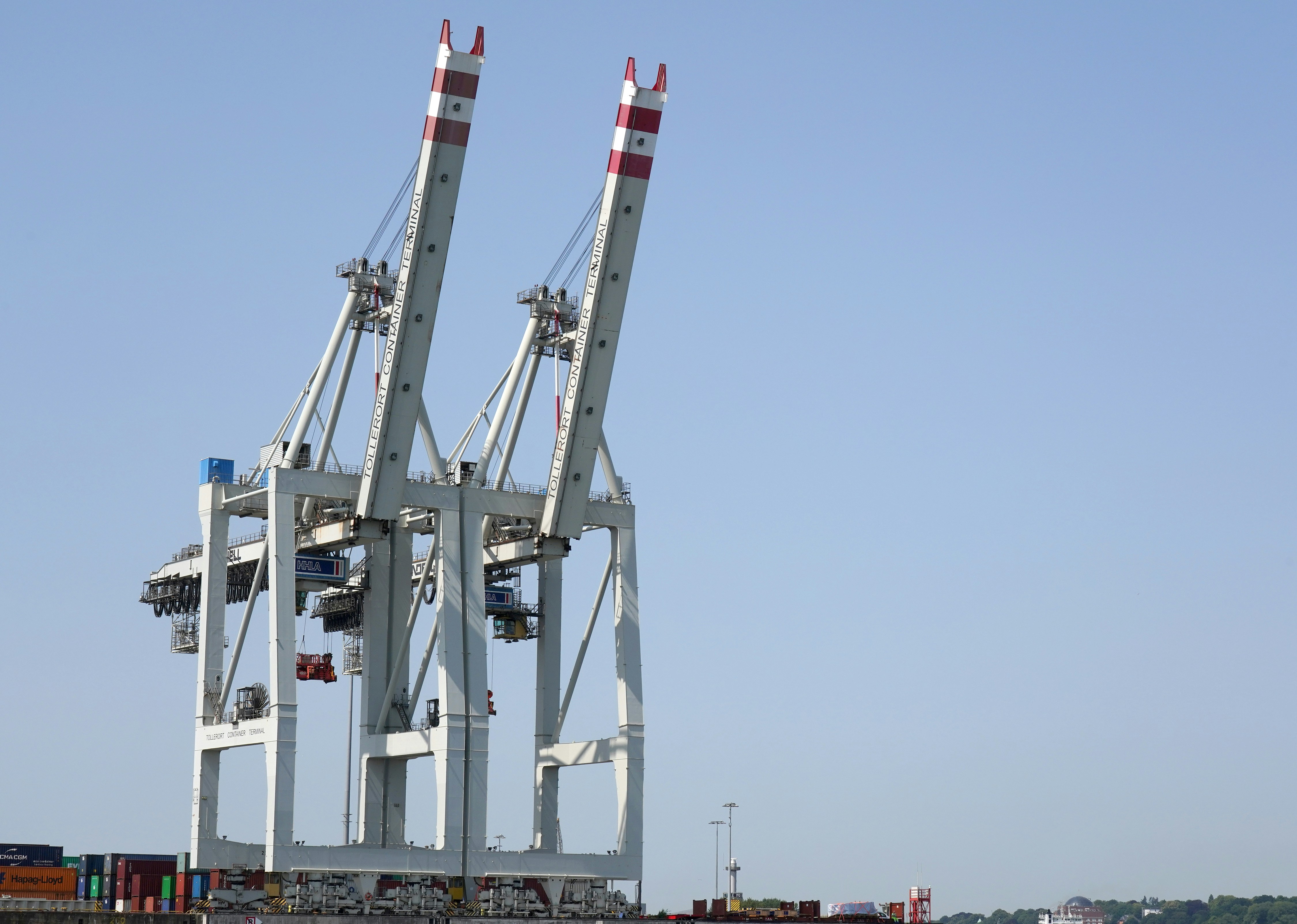 A couple of cranes that are sitting in the water