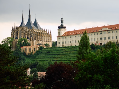 A castle with a steeple on top of a hill