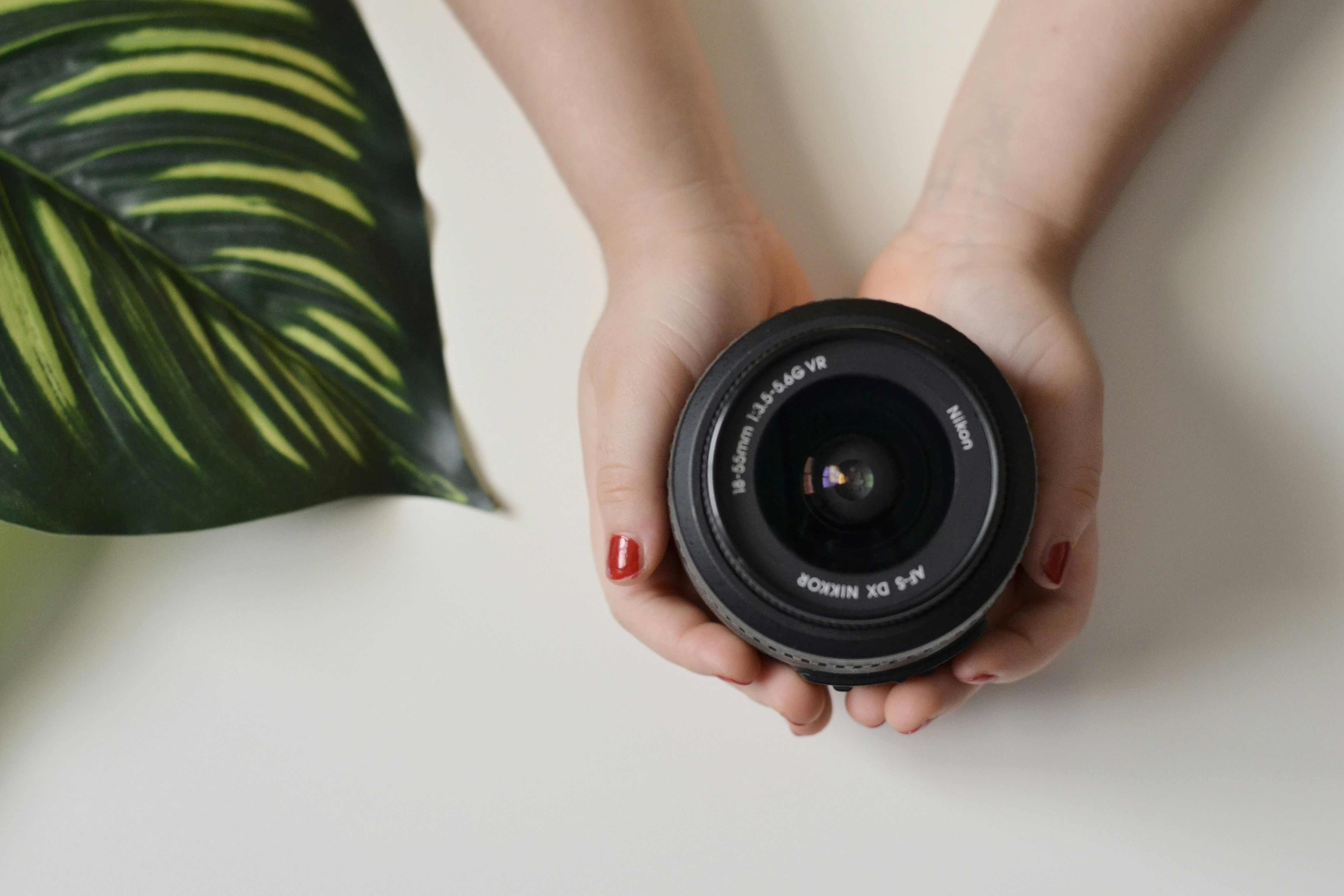 A person holding a camera in their hands