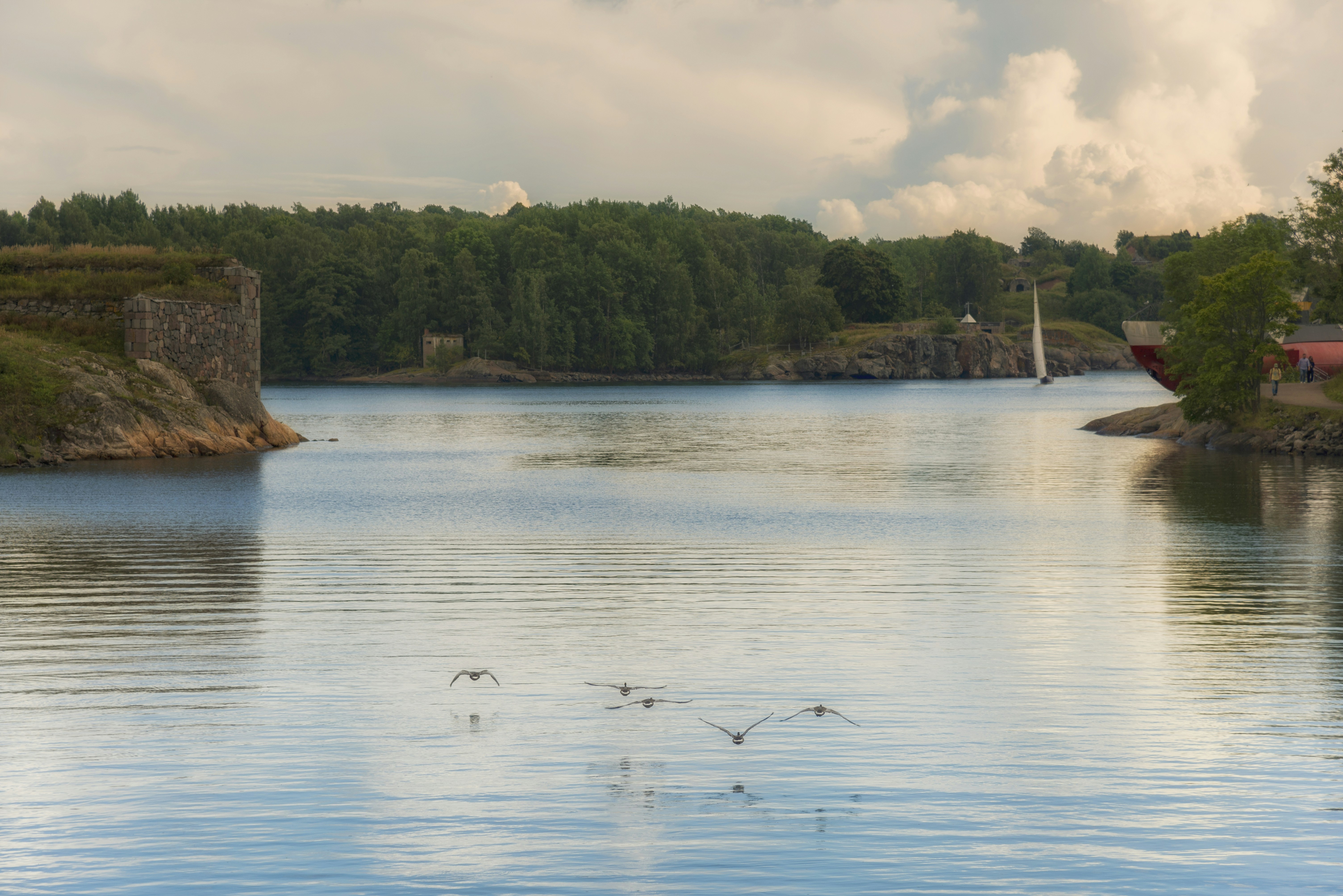 A large body of water surrounded by trees