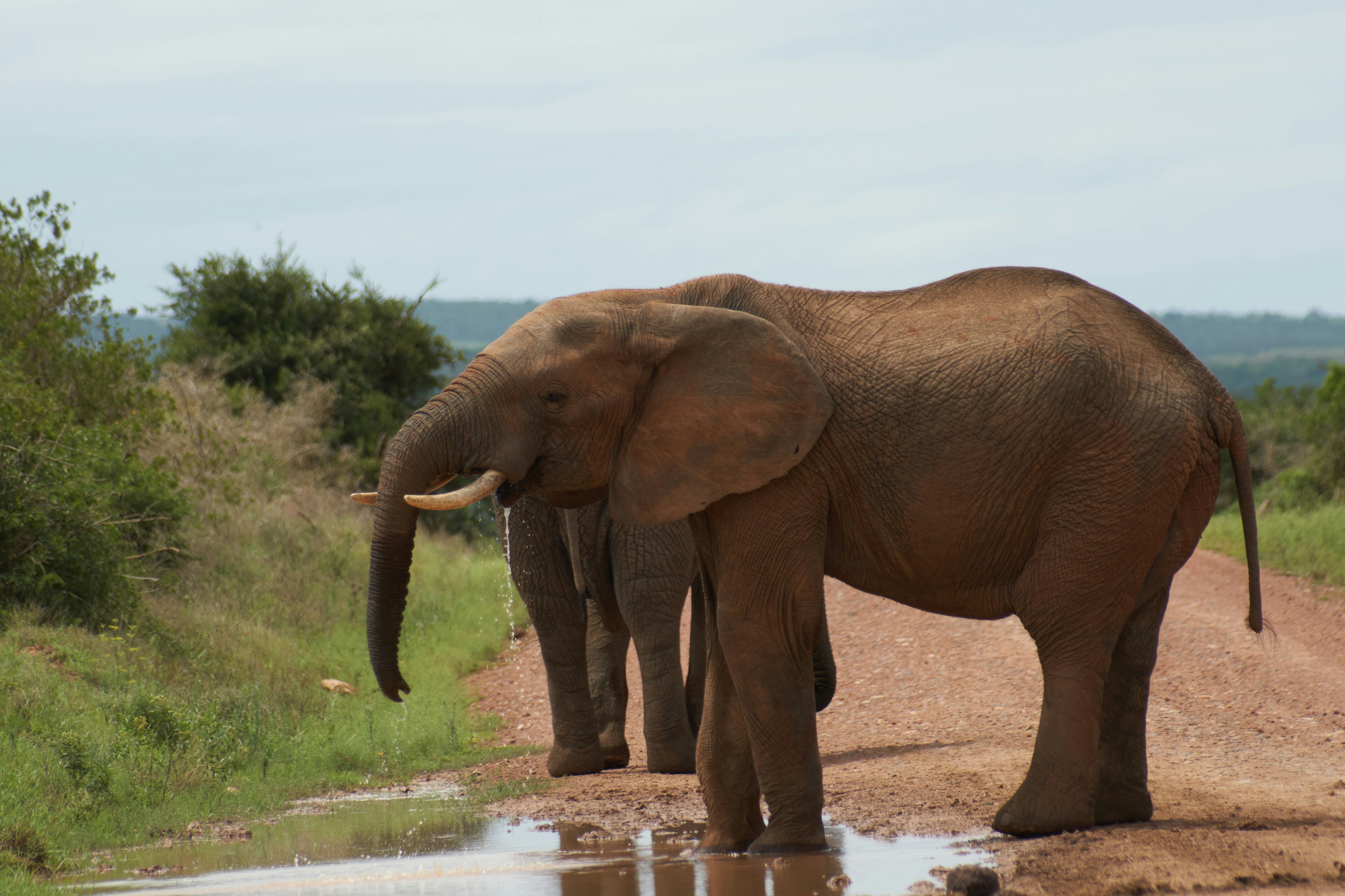 Photo by wolfgang_hasselmann