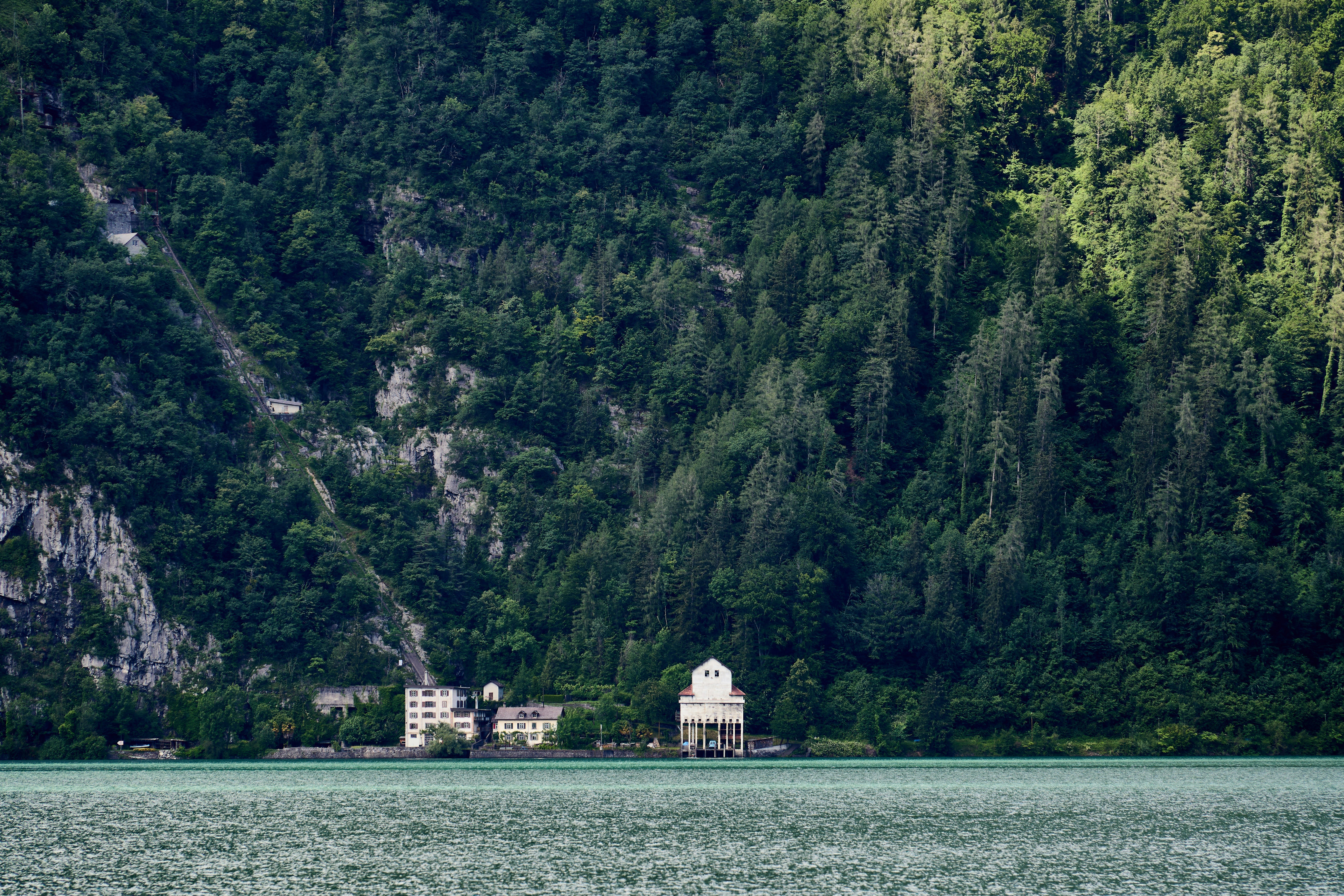 Photo by wolfgang_hasselmann