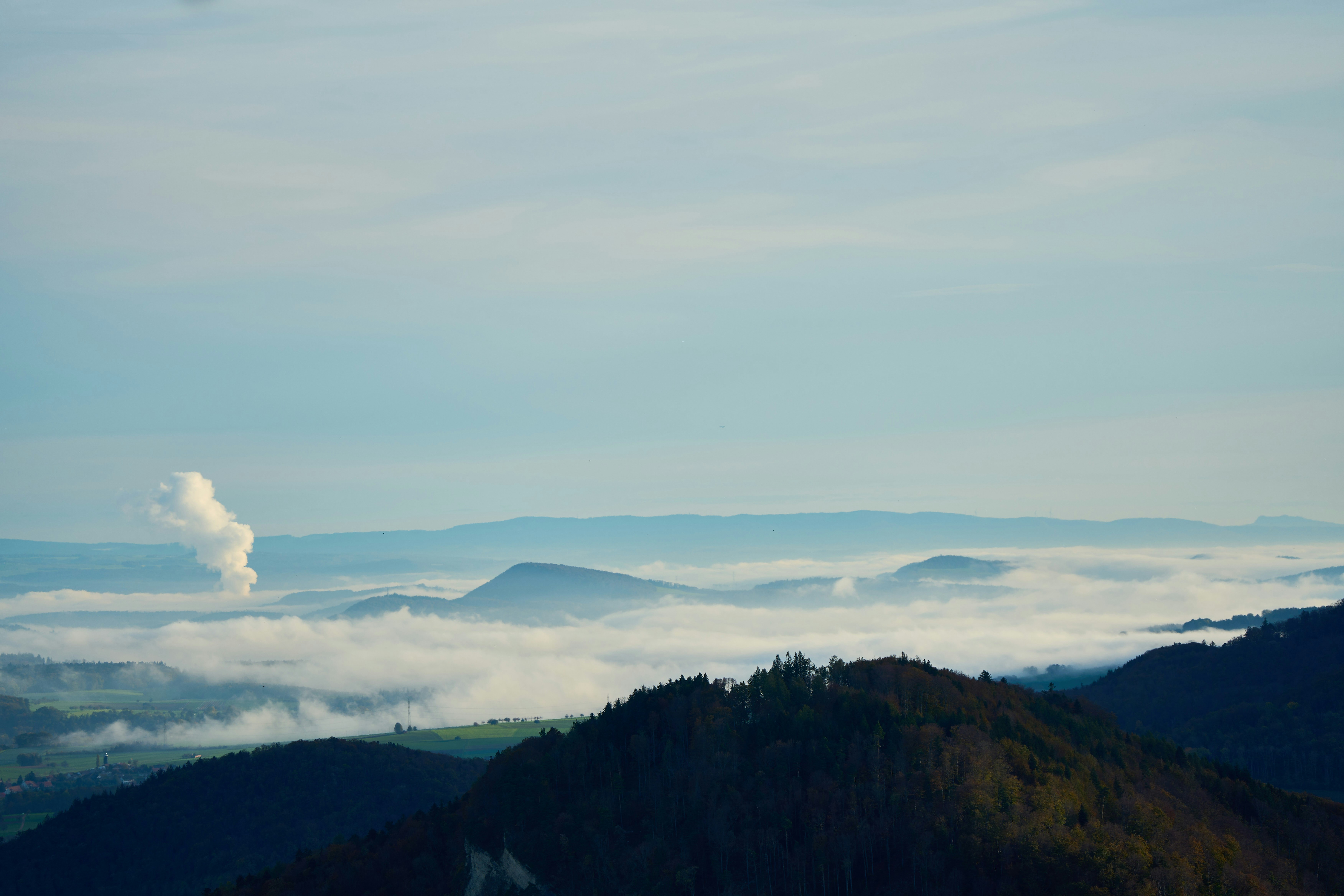 Photo by wolfgang_hasselmann