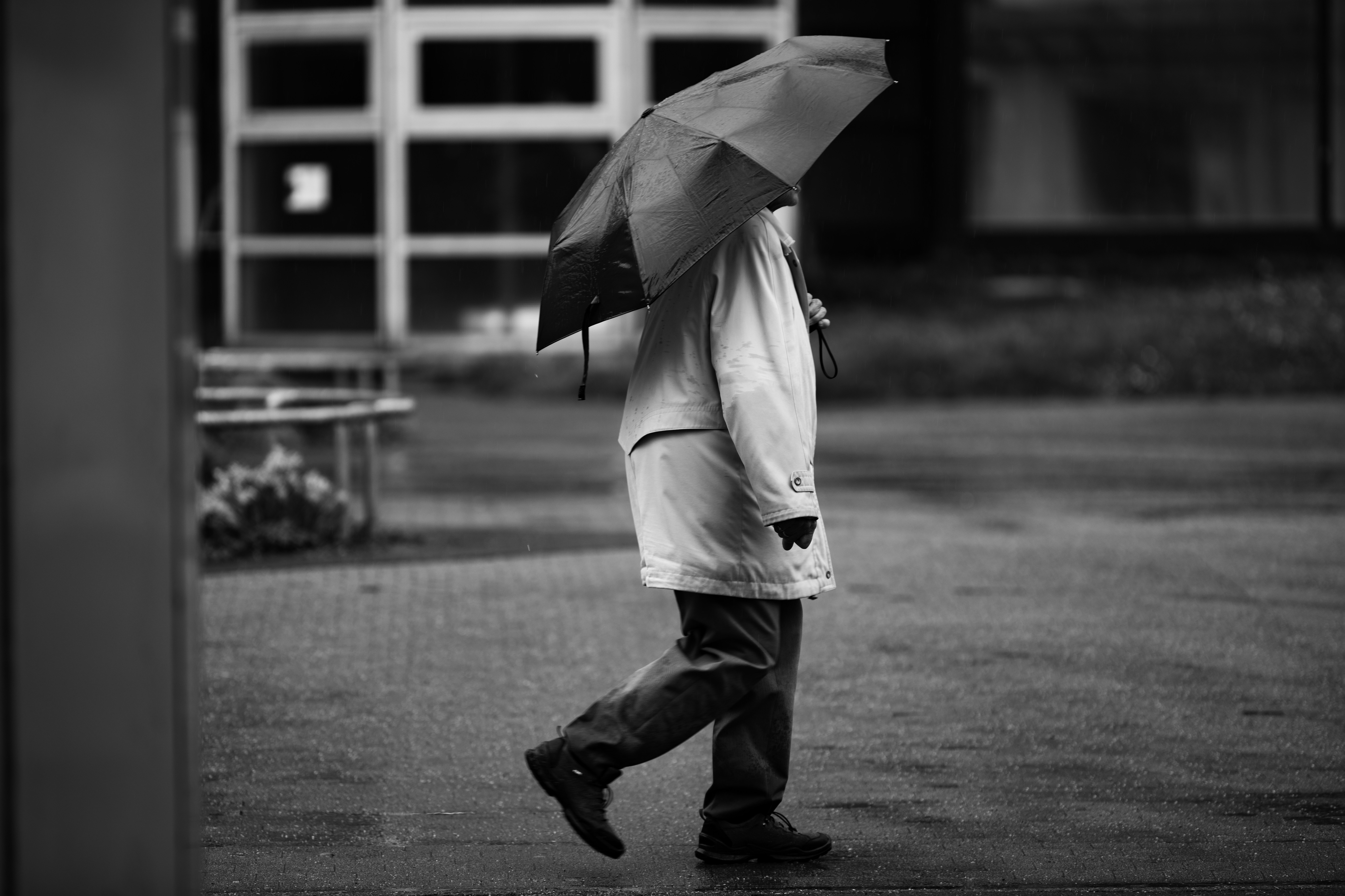 Photo by alu312426663