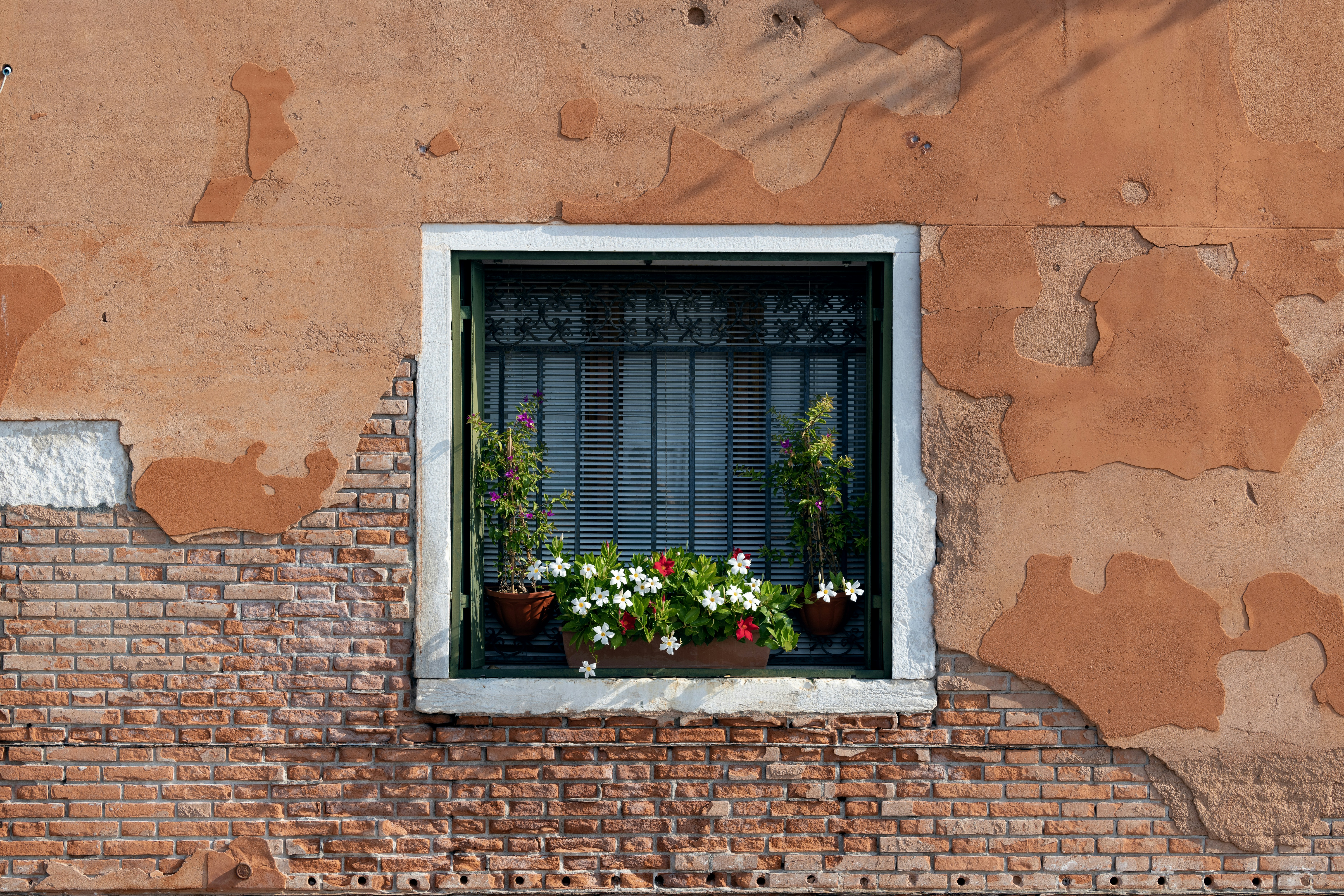 Photo by alu312426663