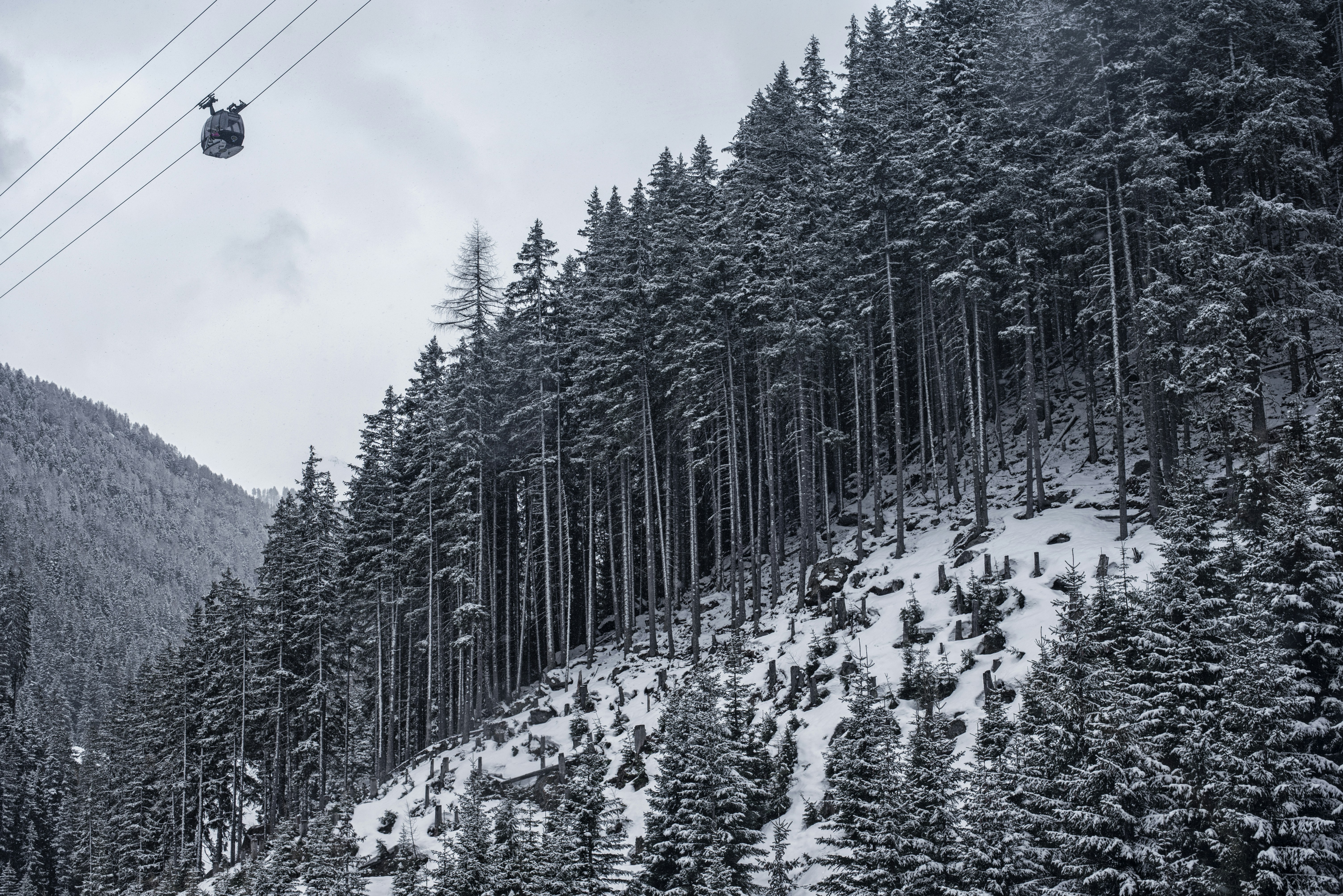 Photo by alu312426663