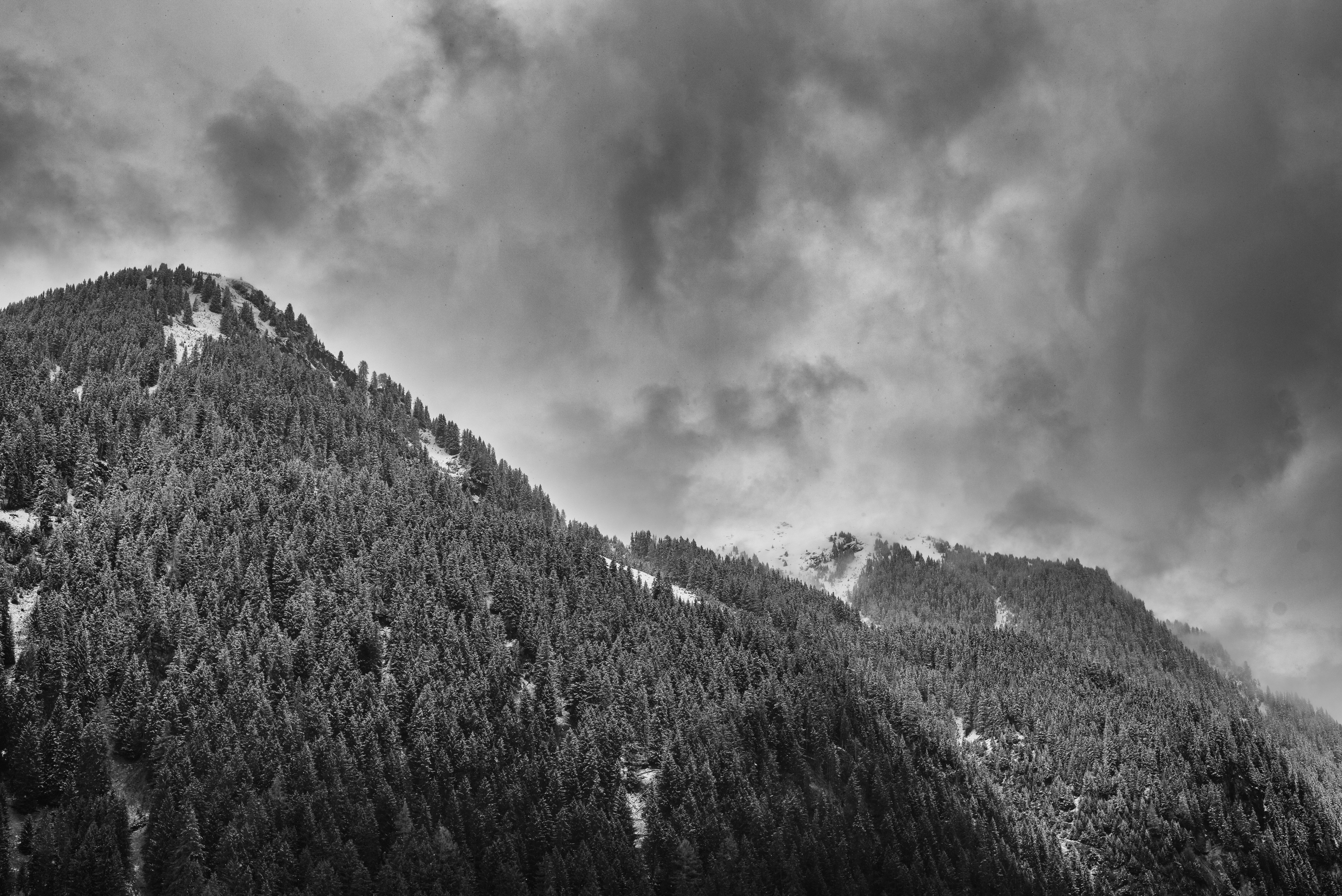 Photo by alu312426663