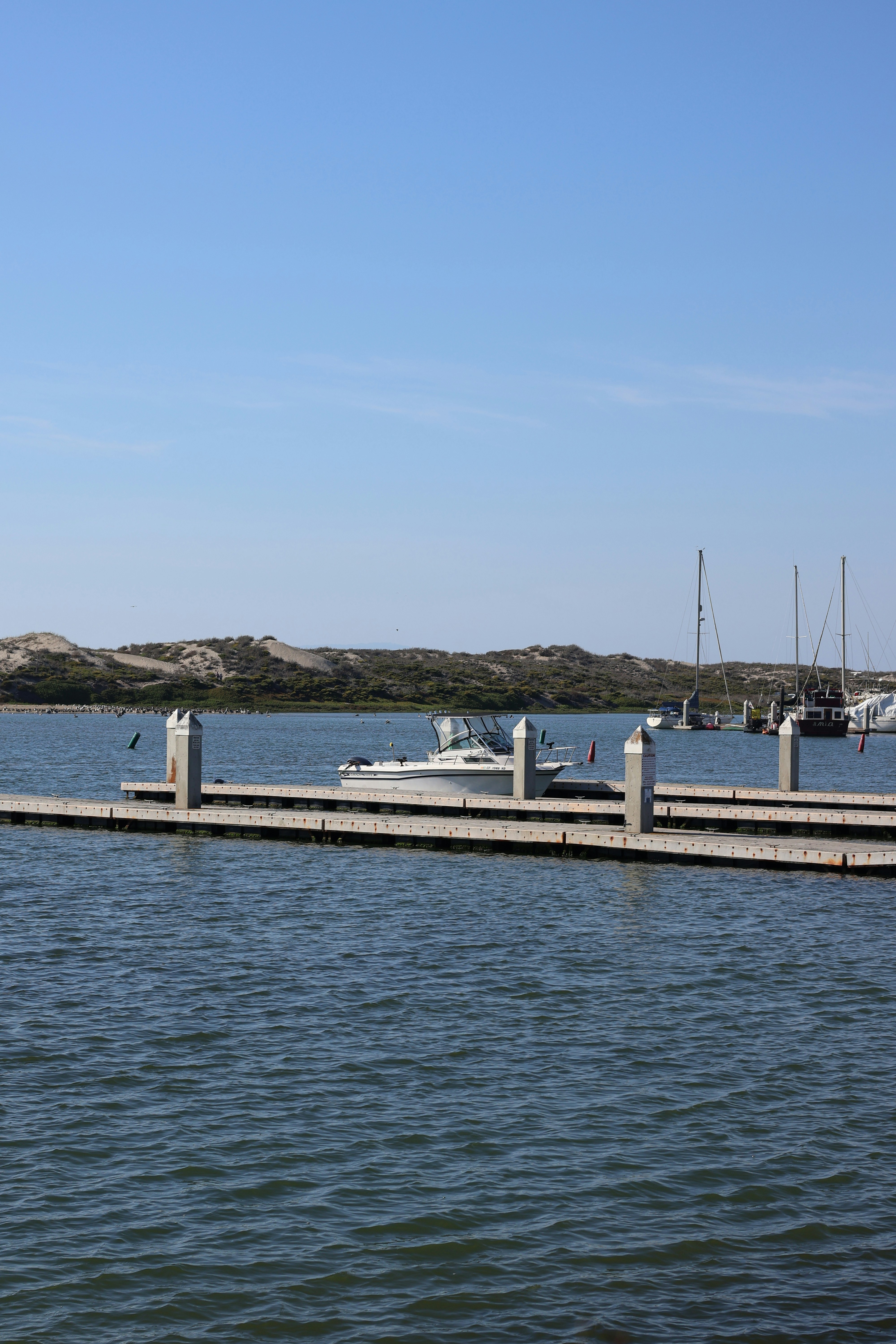 Photo by kathyadahil