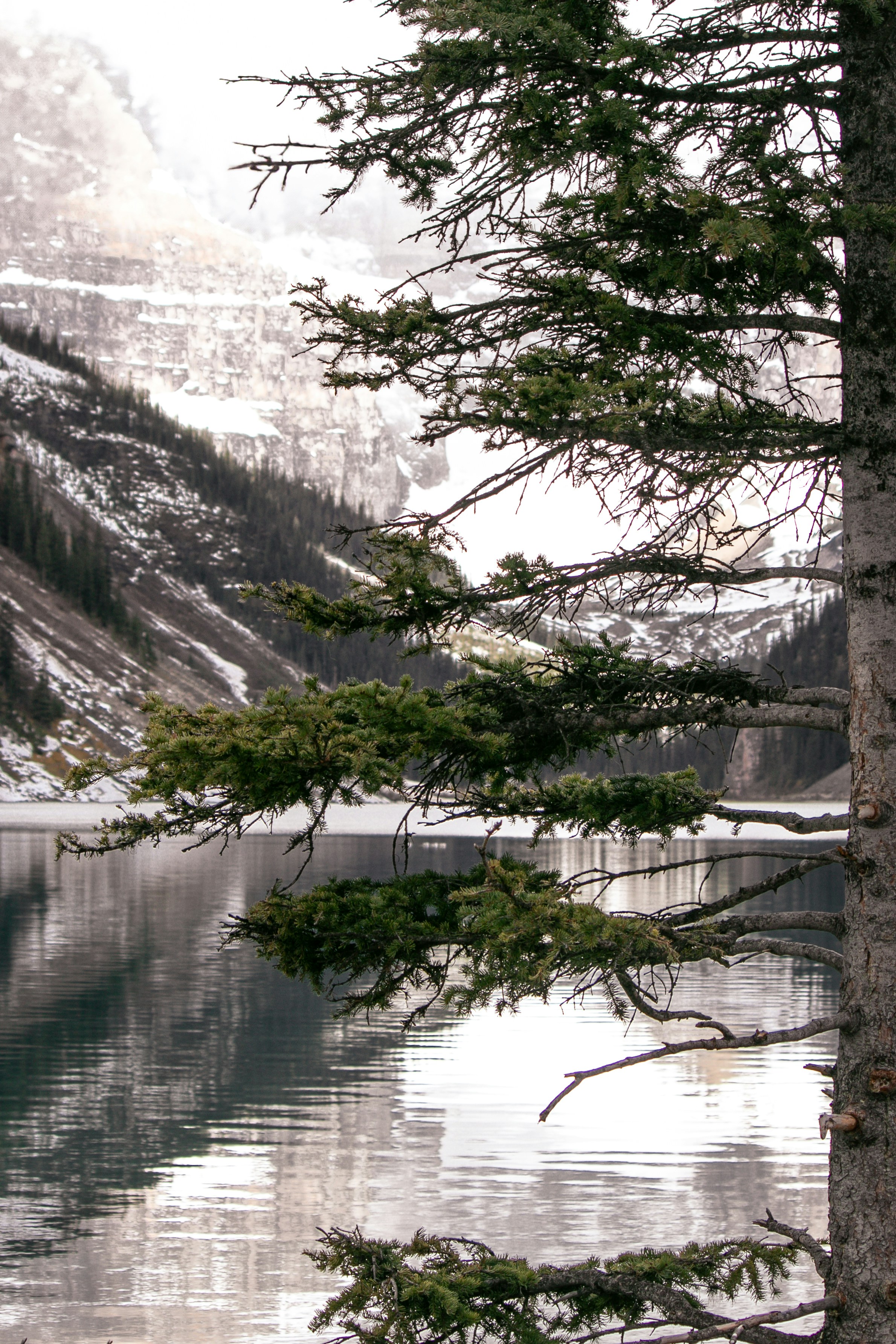 Photo by wlkr_photography