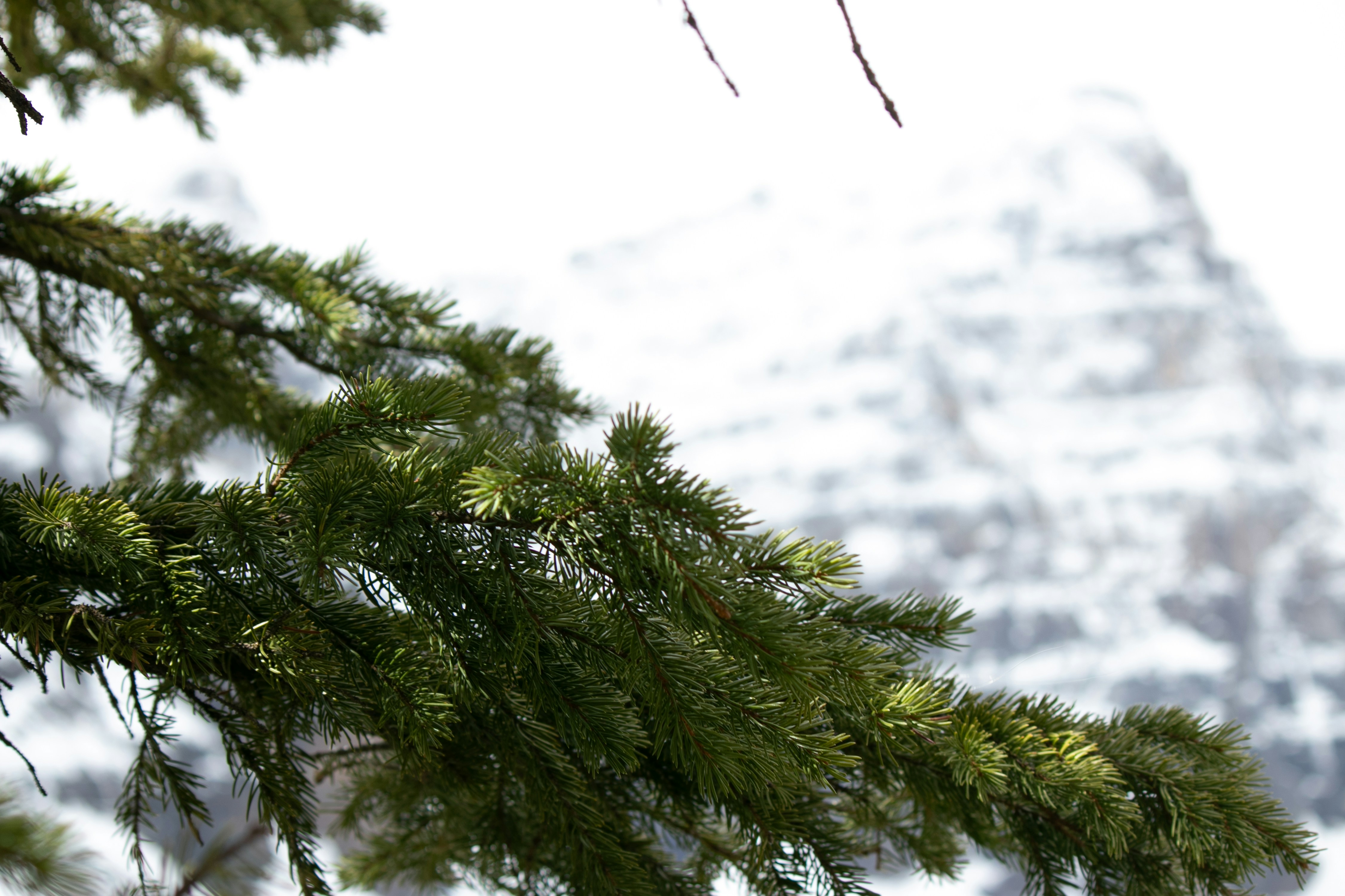 Photo by wlkr_photography