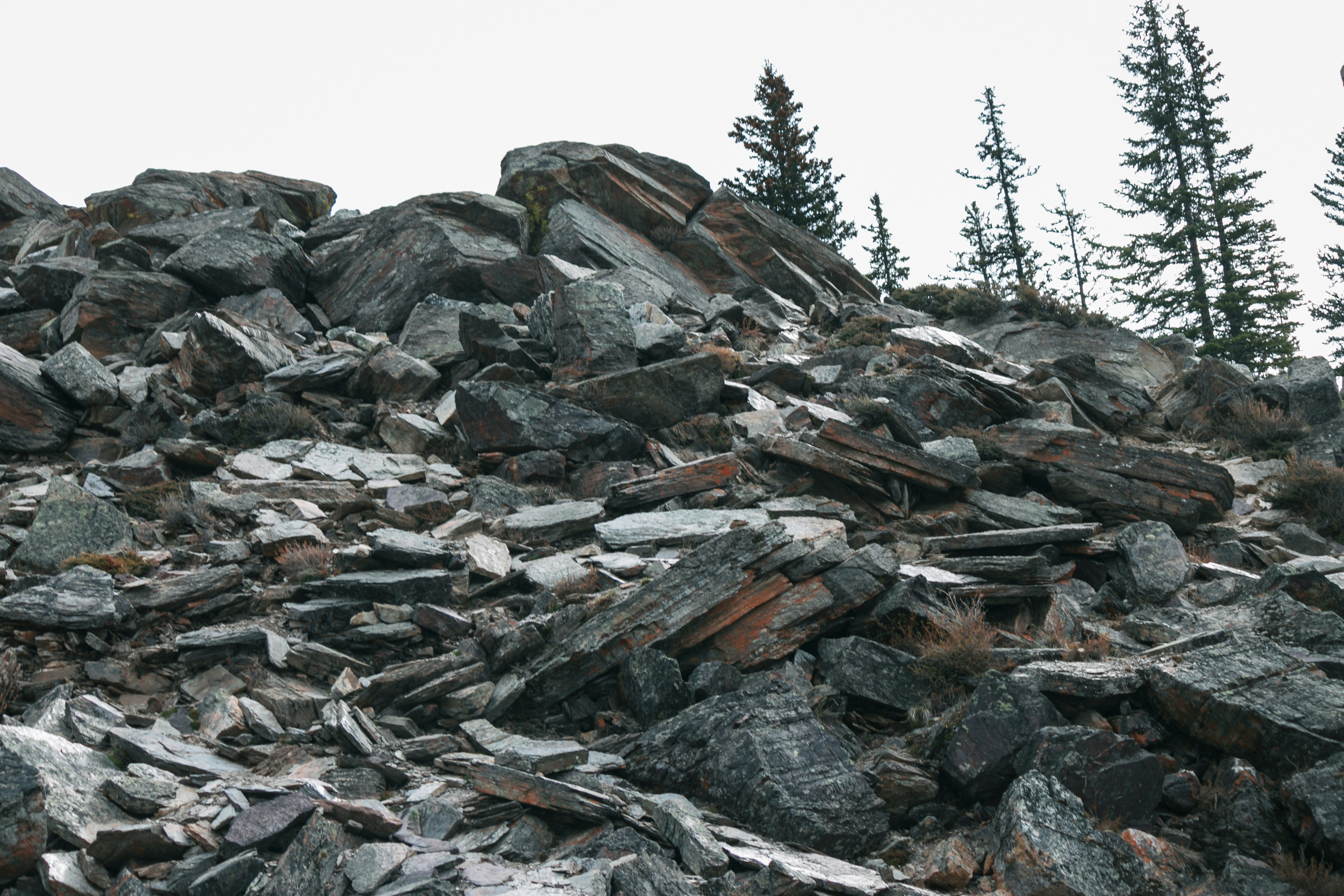 Photo by wlkr_photography