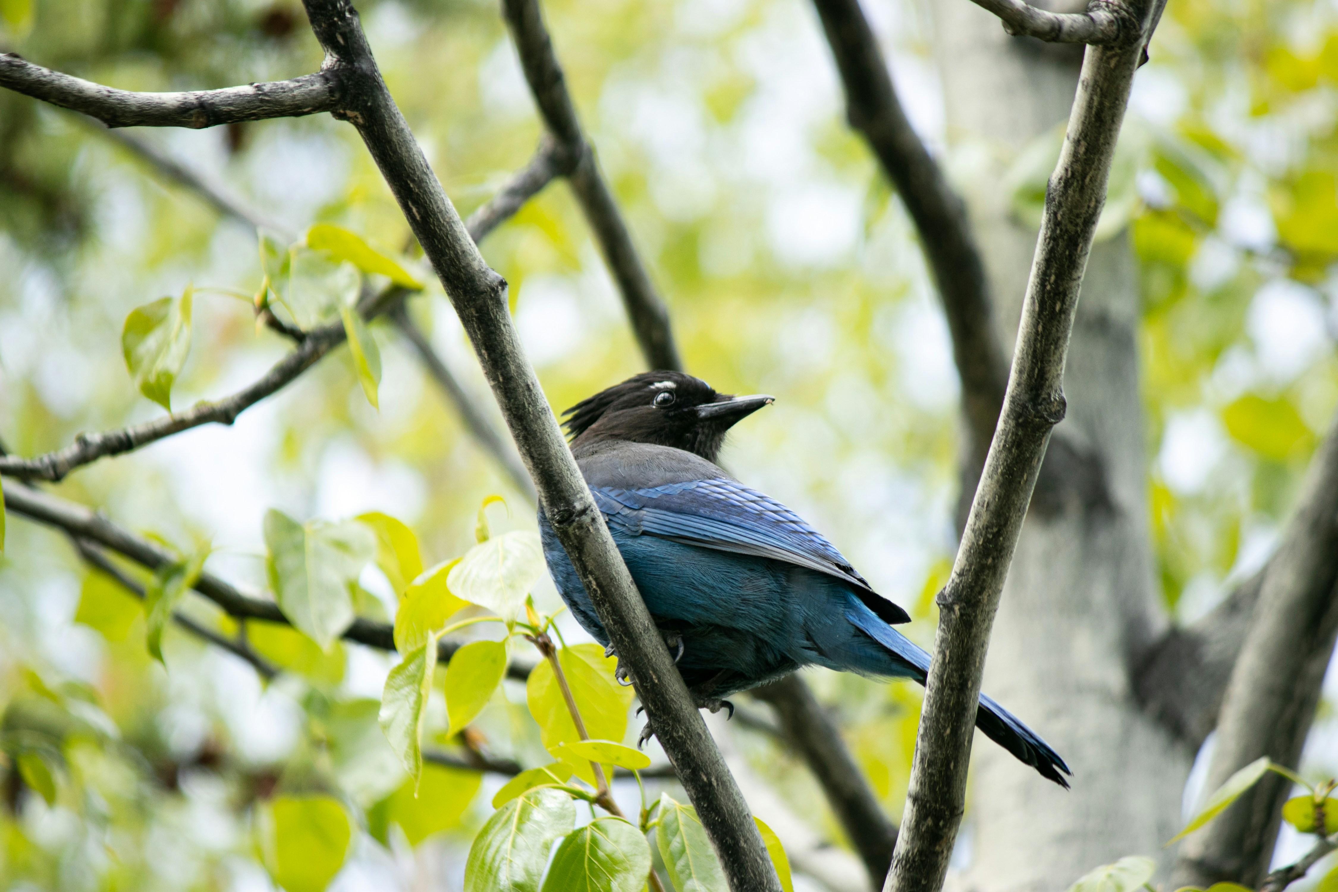 Photo by wlkr_photography