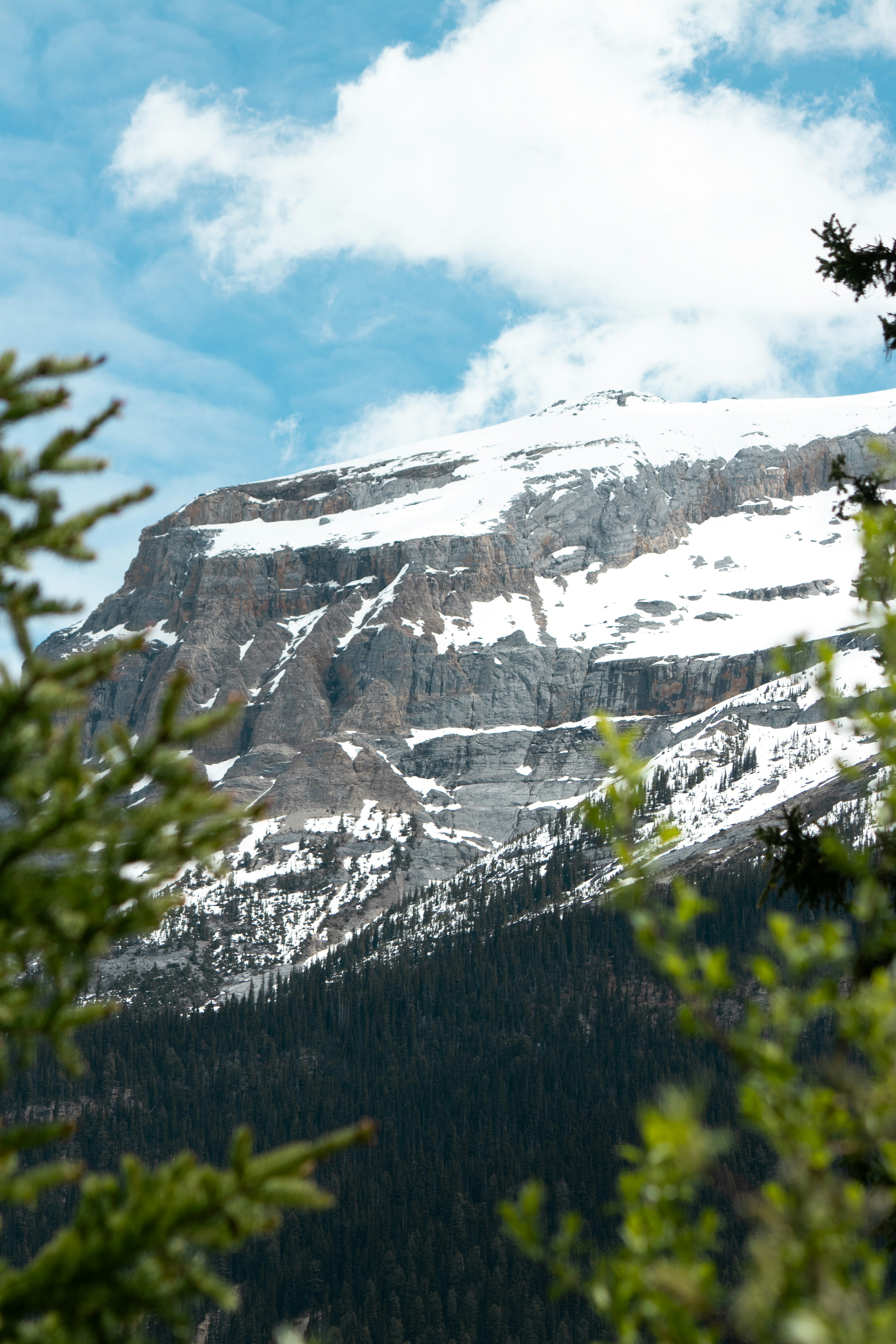 Photo by wlkr_photography