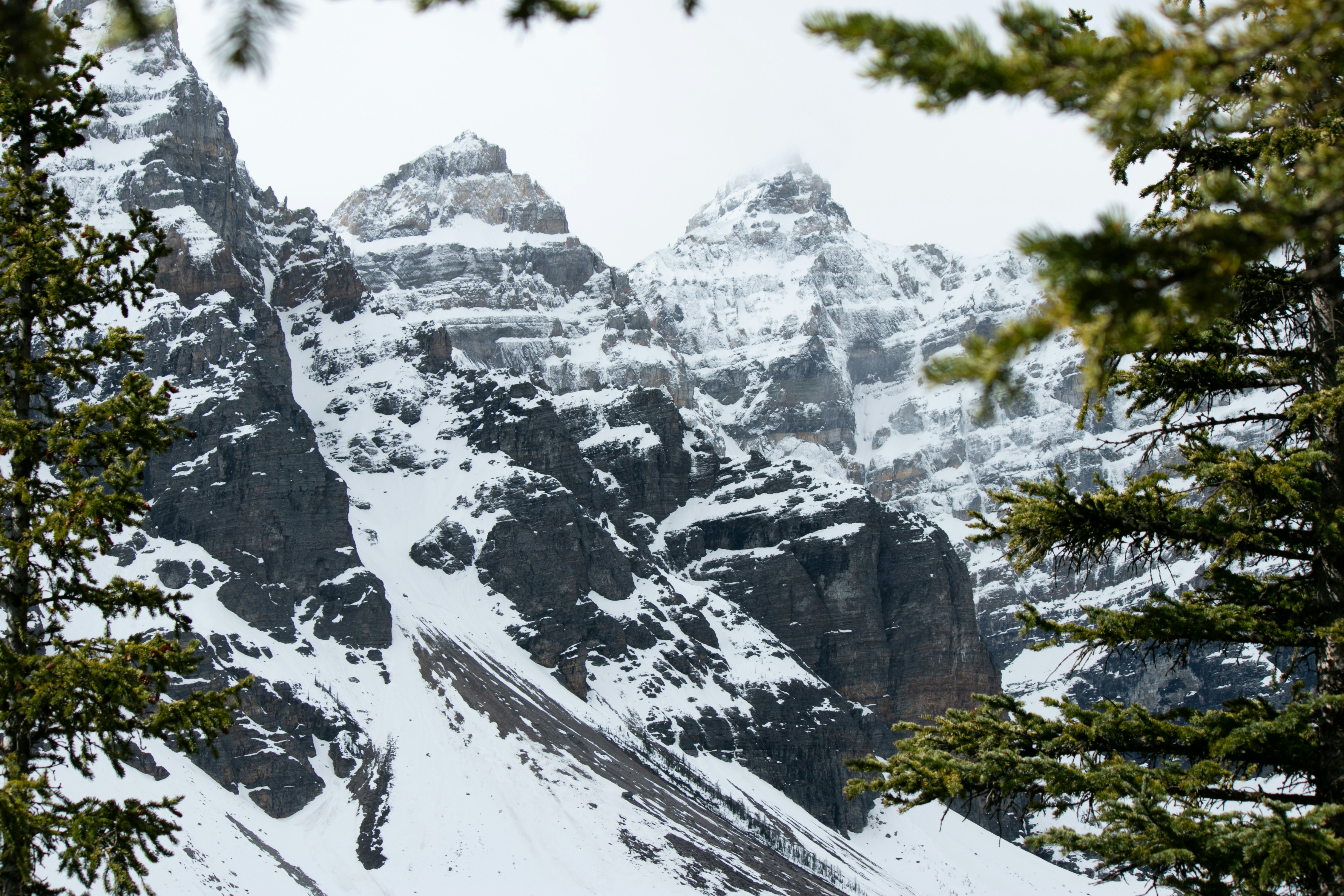 Photo by wlkr_photography