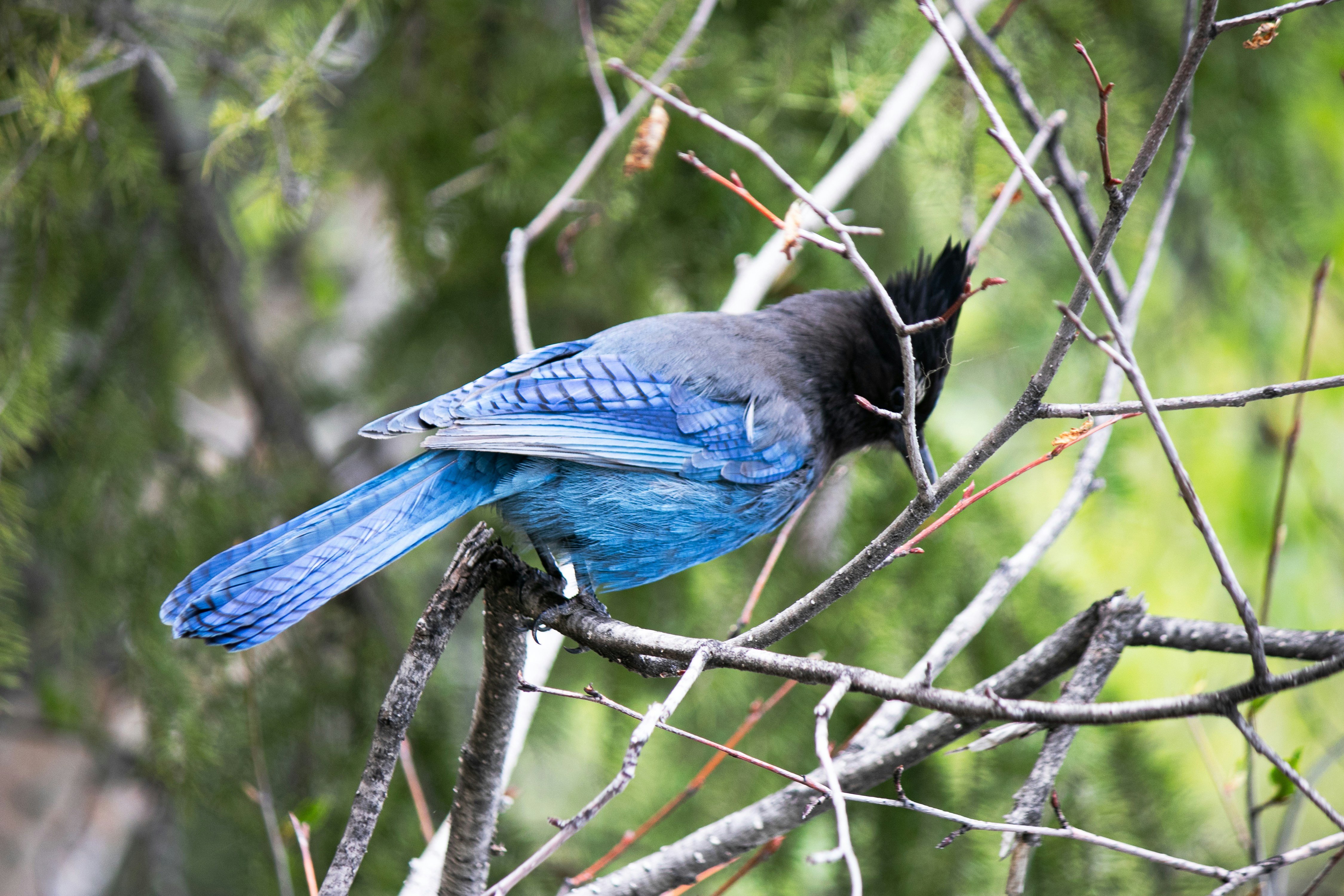 Photo by wlkr_photography