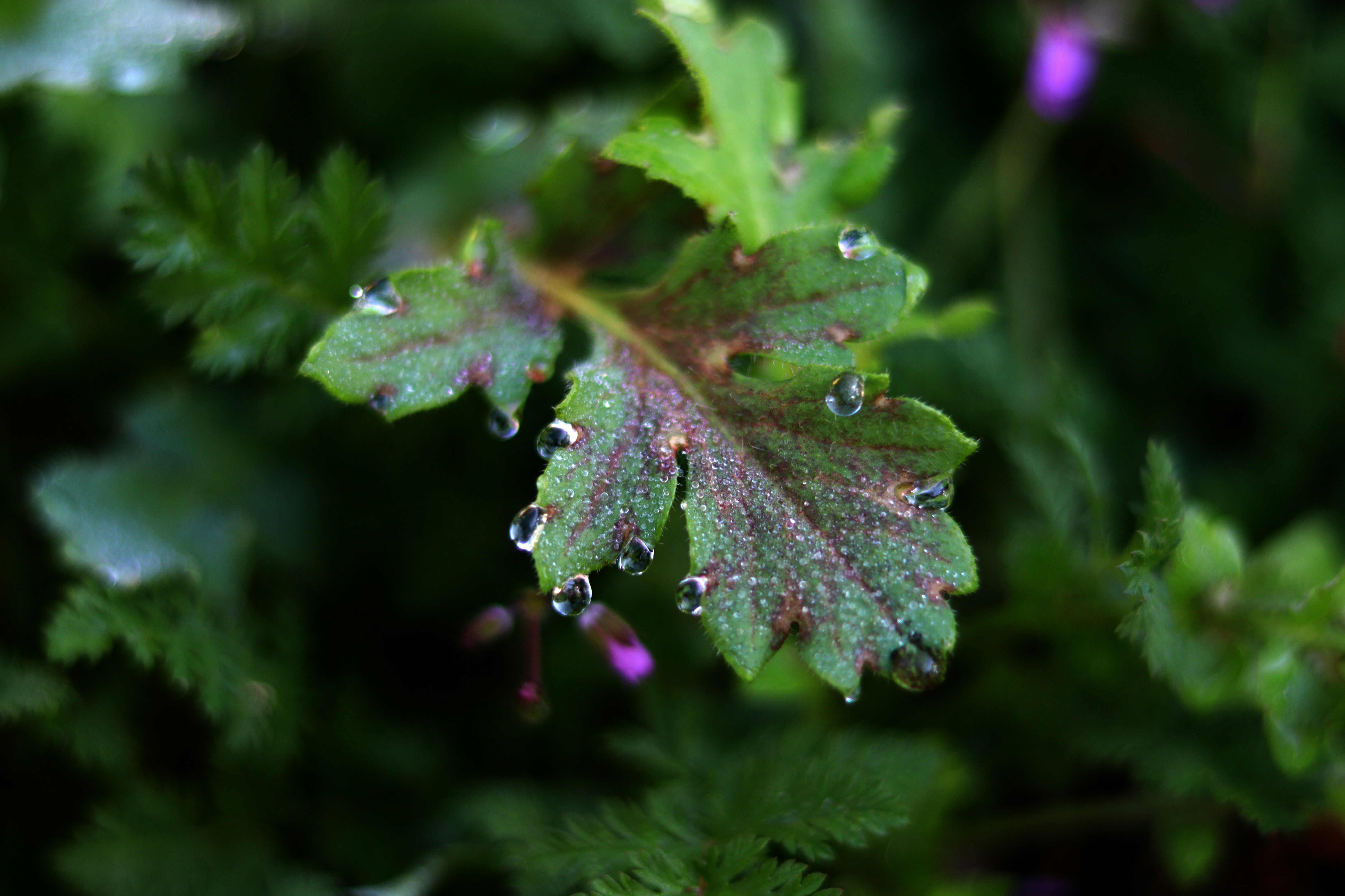 Photo by muna_abudhair