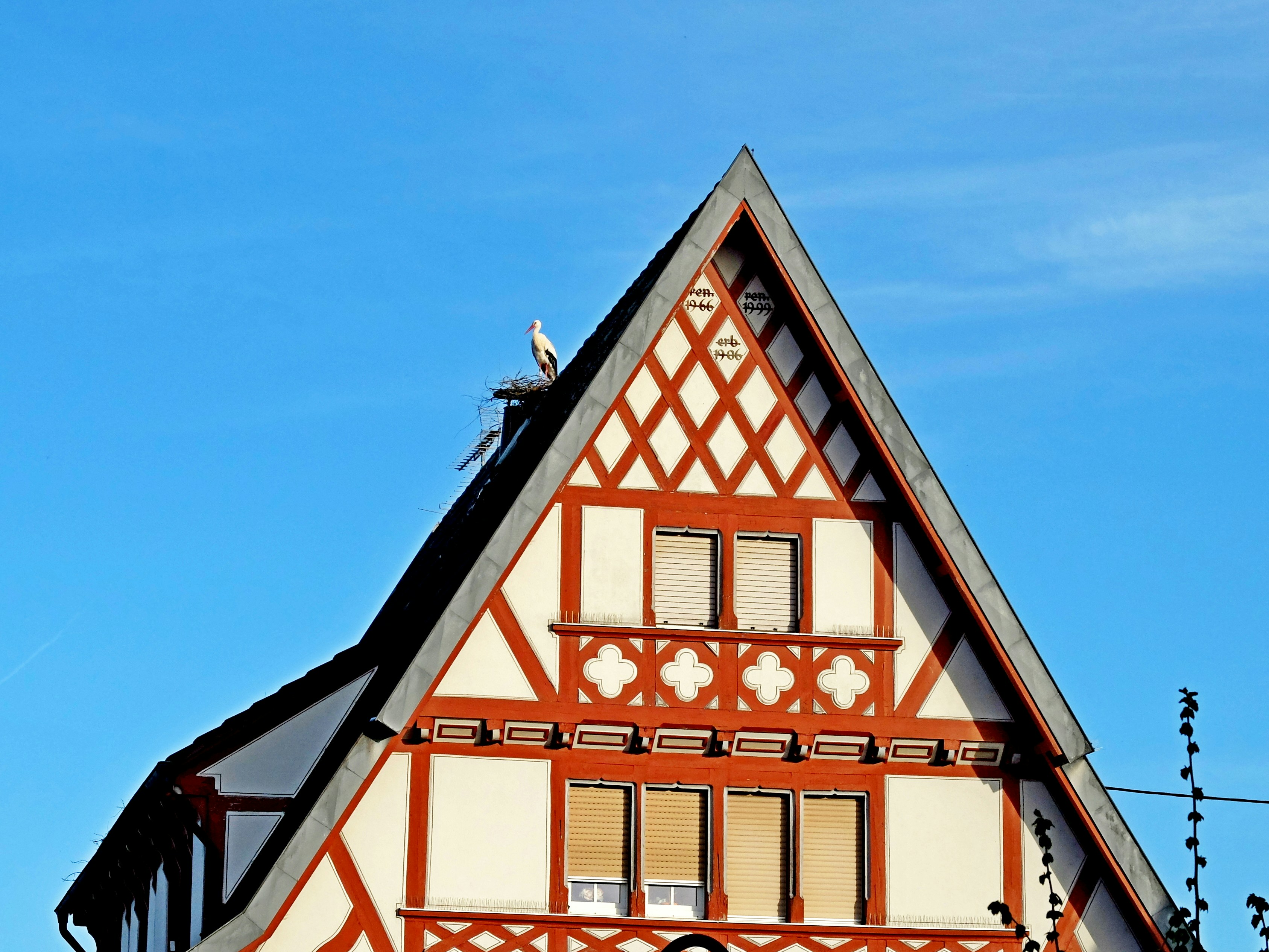 Photo by anton_konstantinov