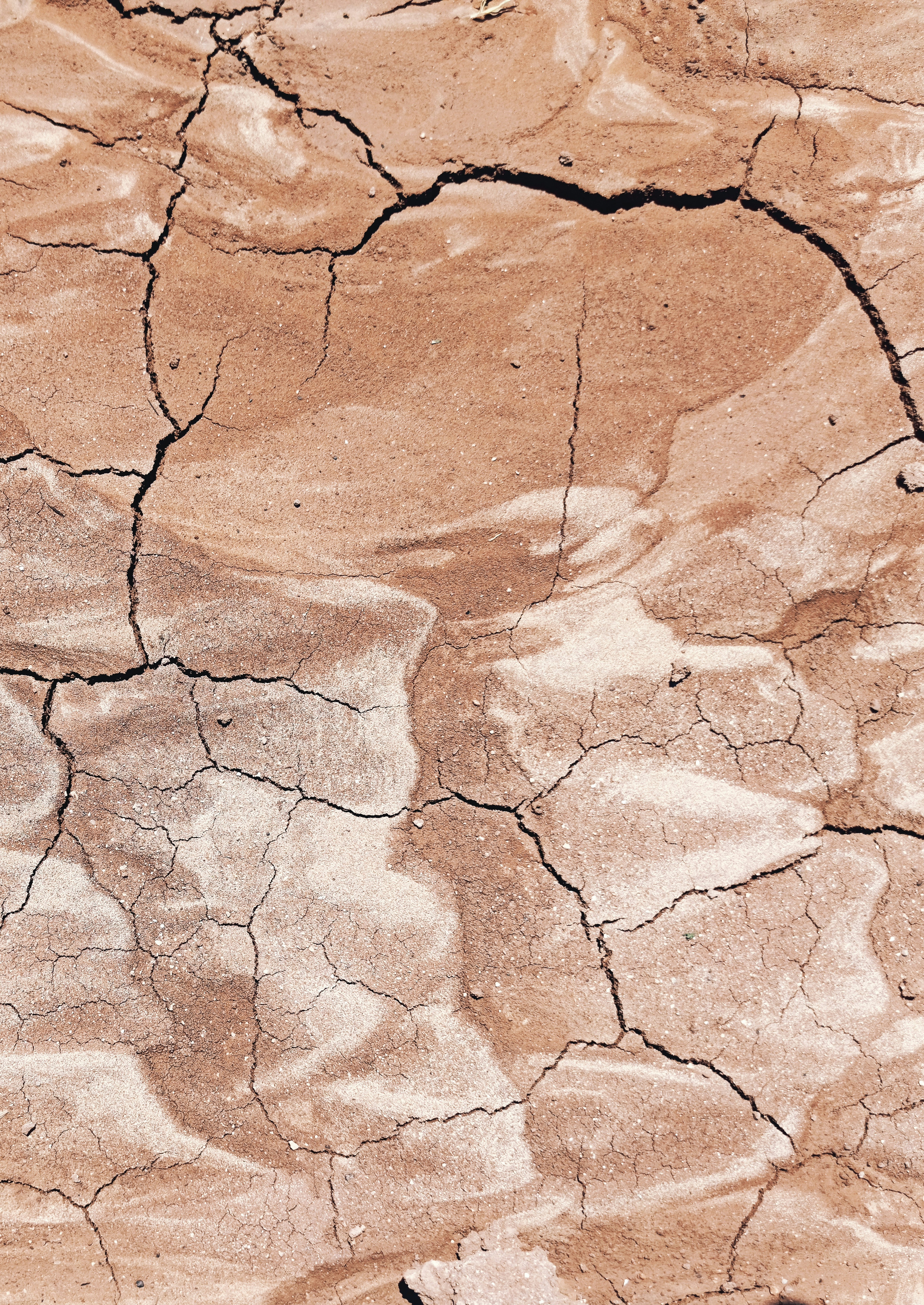 지구가 빚어낸 기적: 중력이 그린 푸른 행성의 비밀