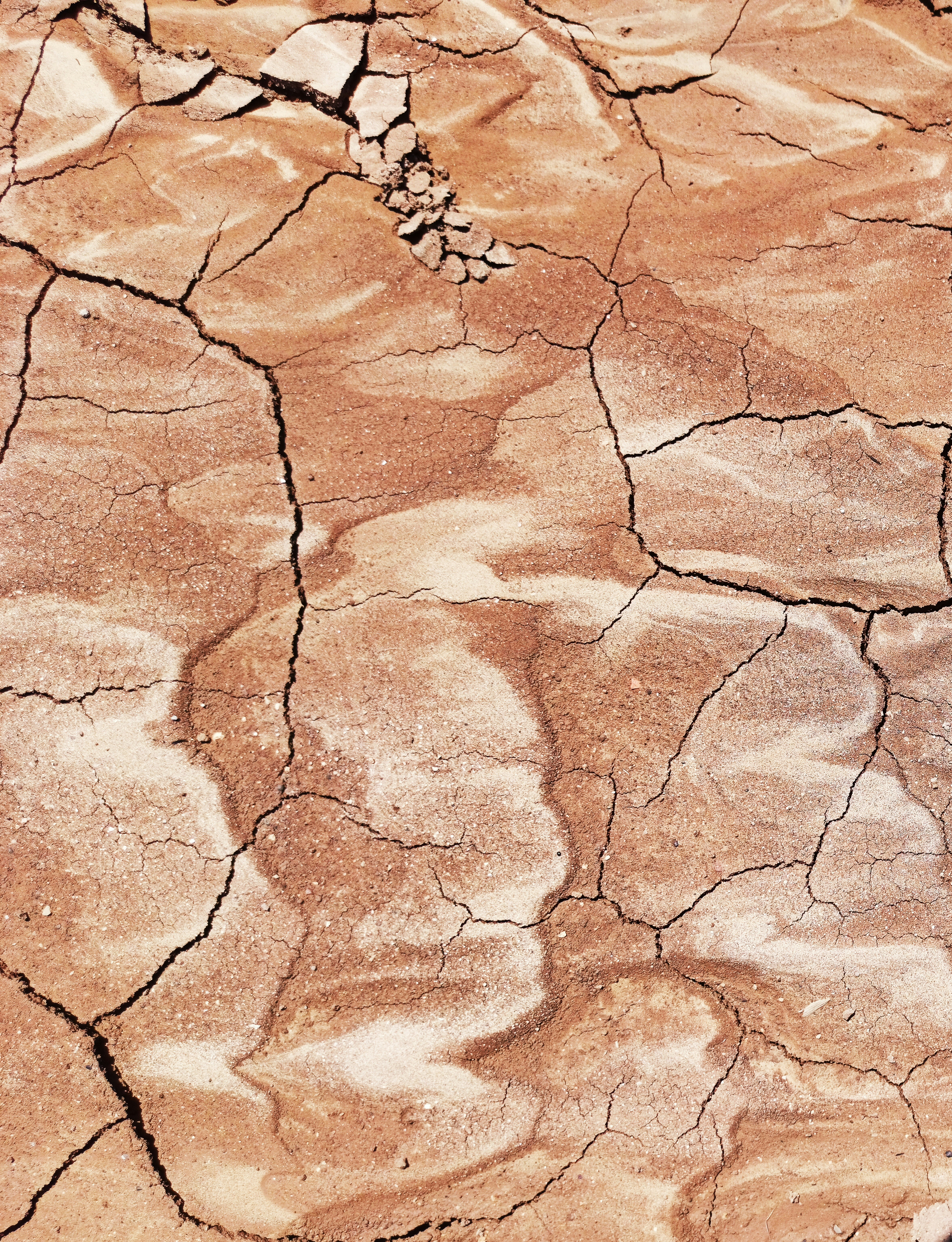 Photo by rashedpaykary