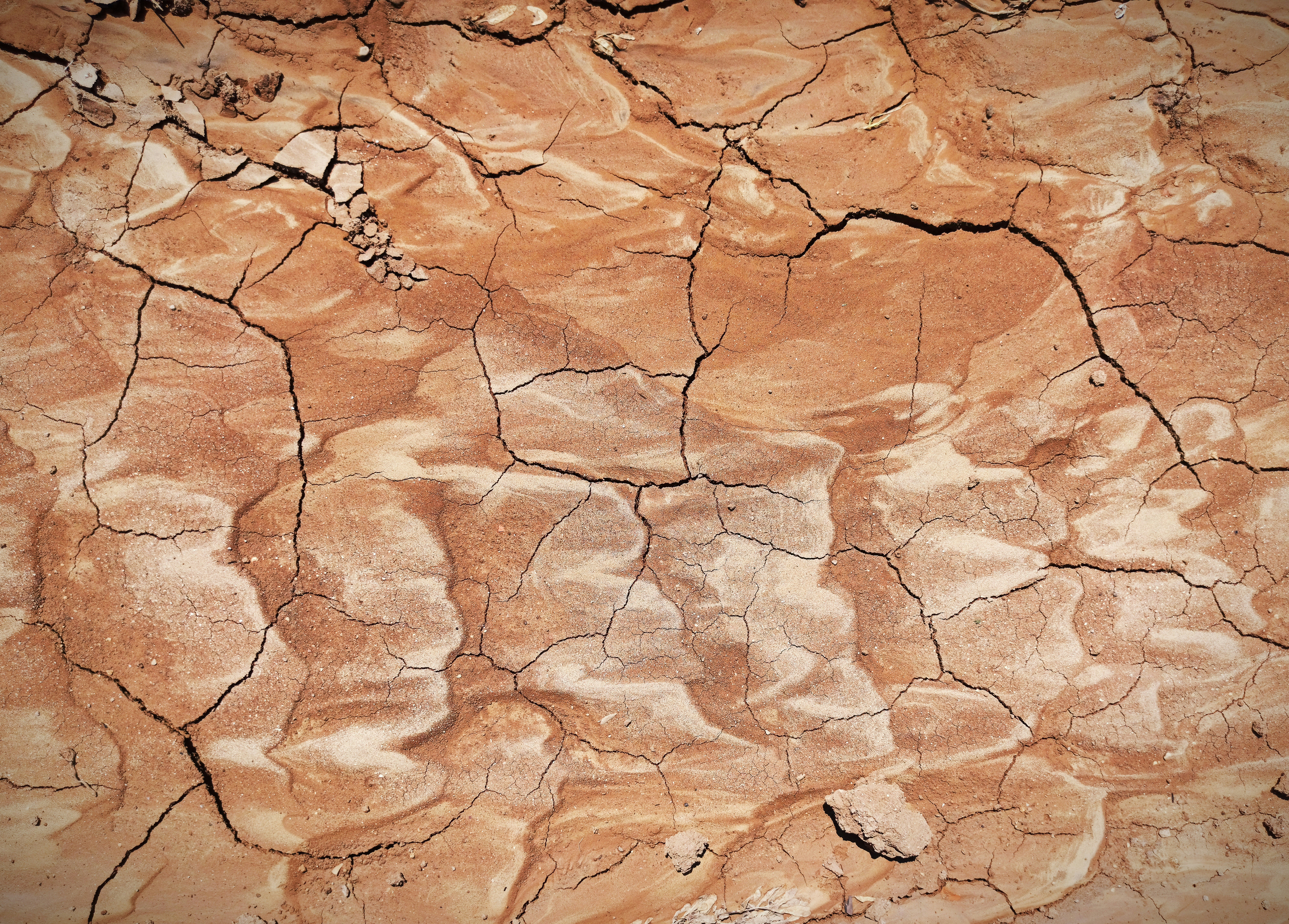 Photo by rashedpaykary