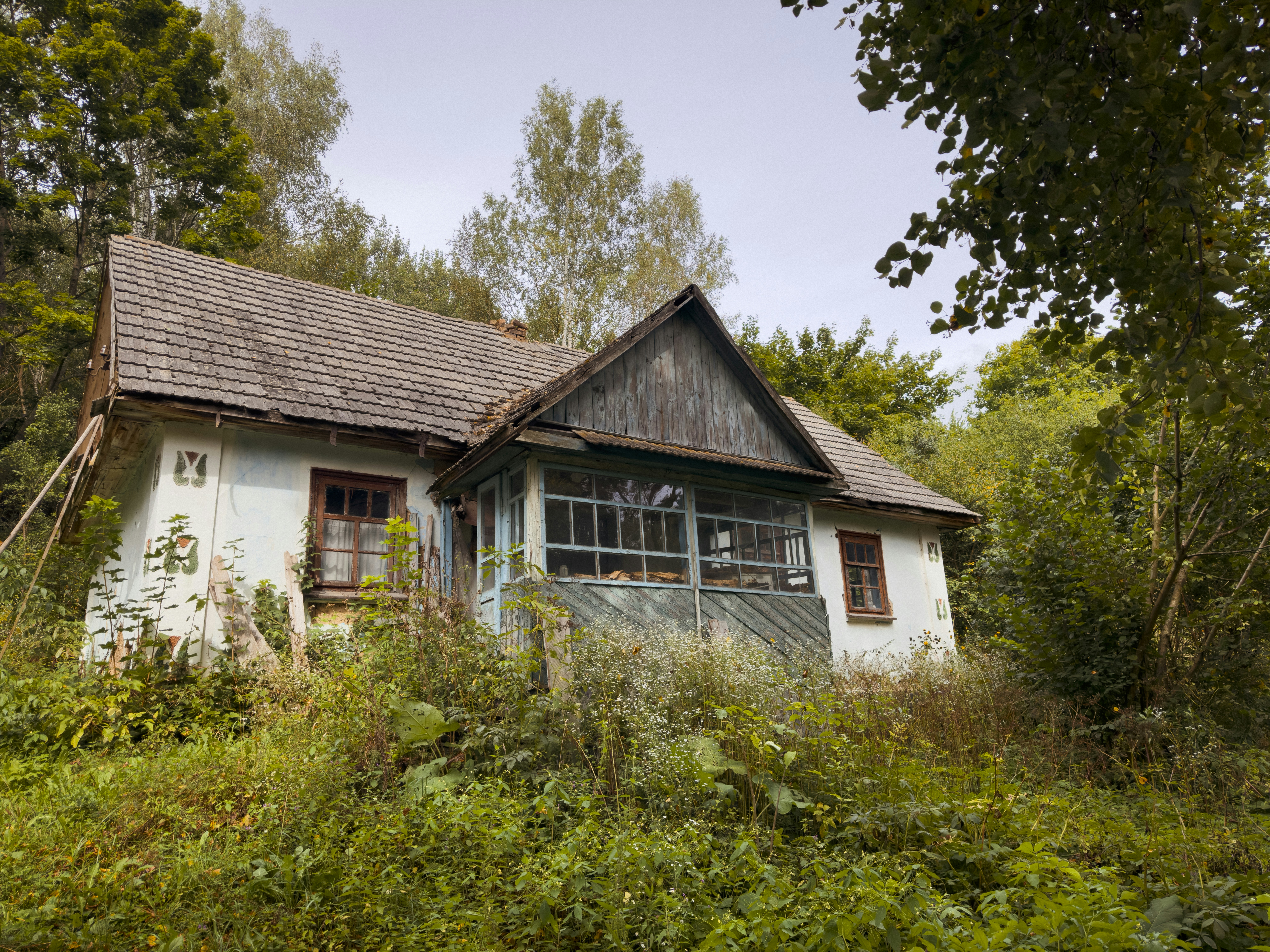 Photo by viktorsmoliak