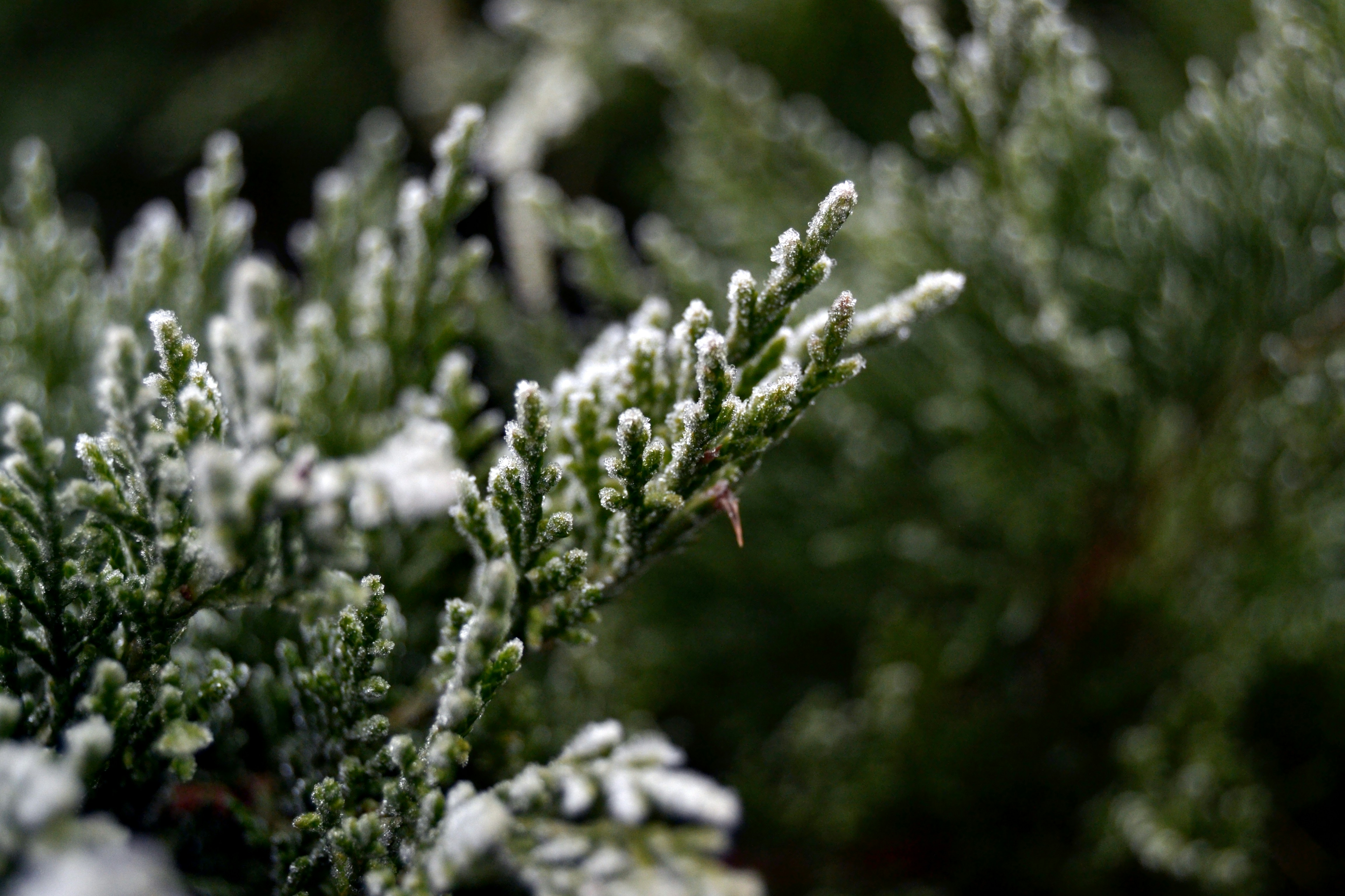 Photo by untitled_dream