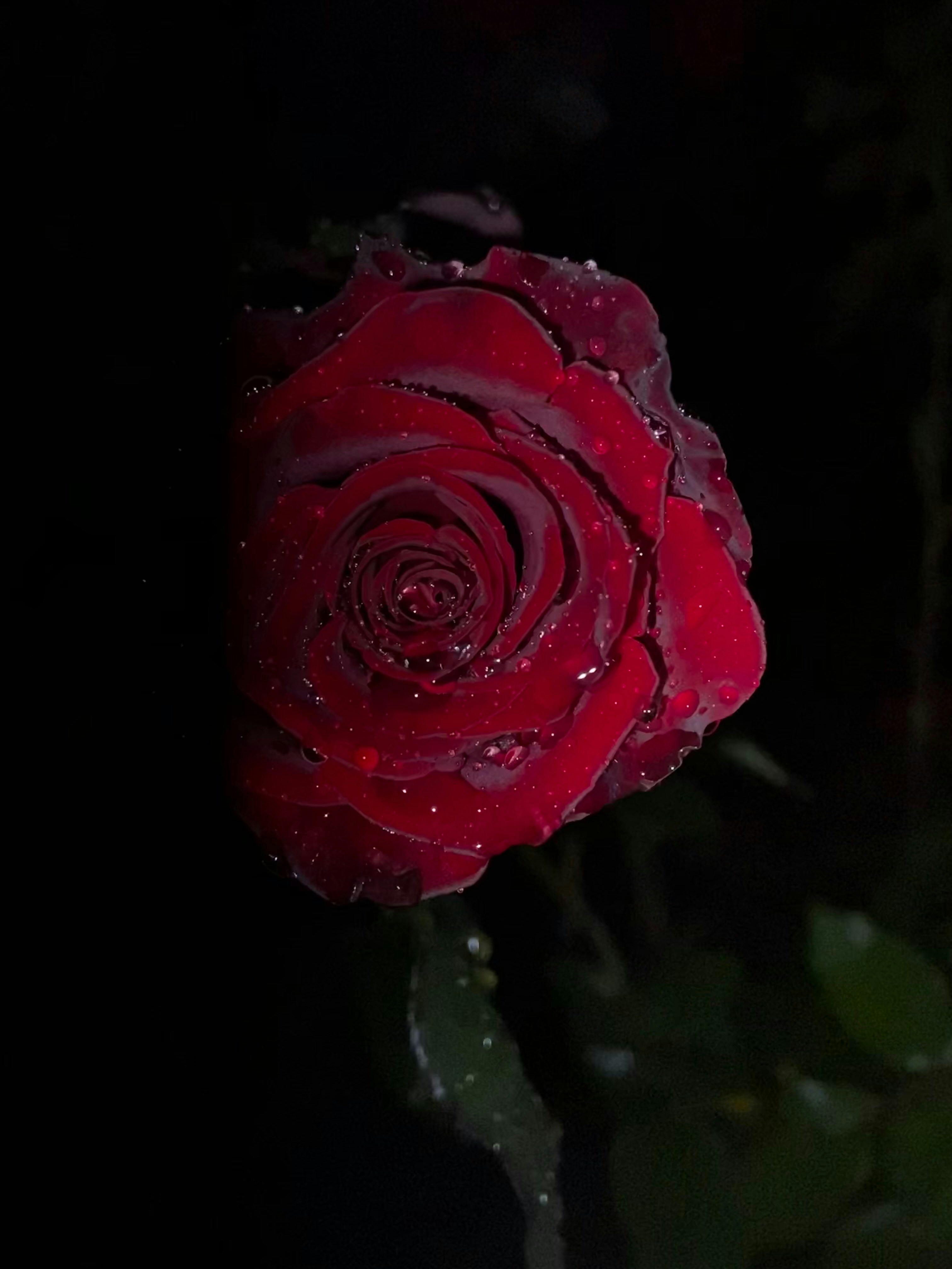 Photo by remneedsabelt