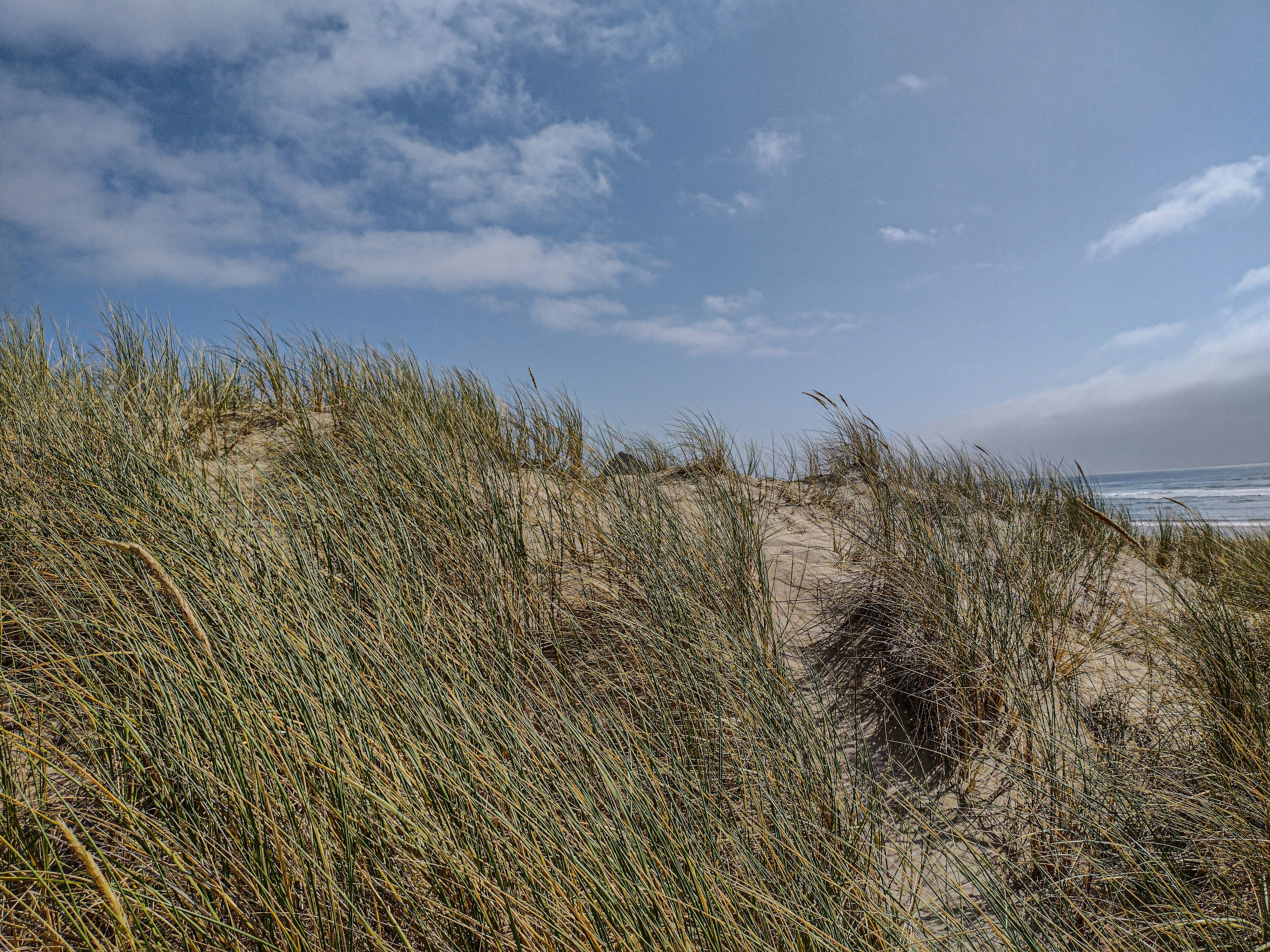 Photo by prphotography262