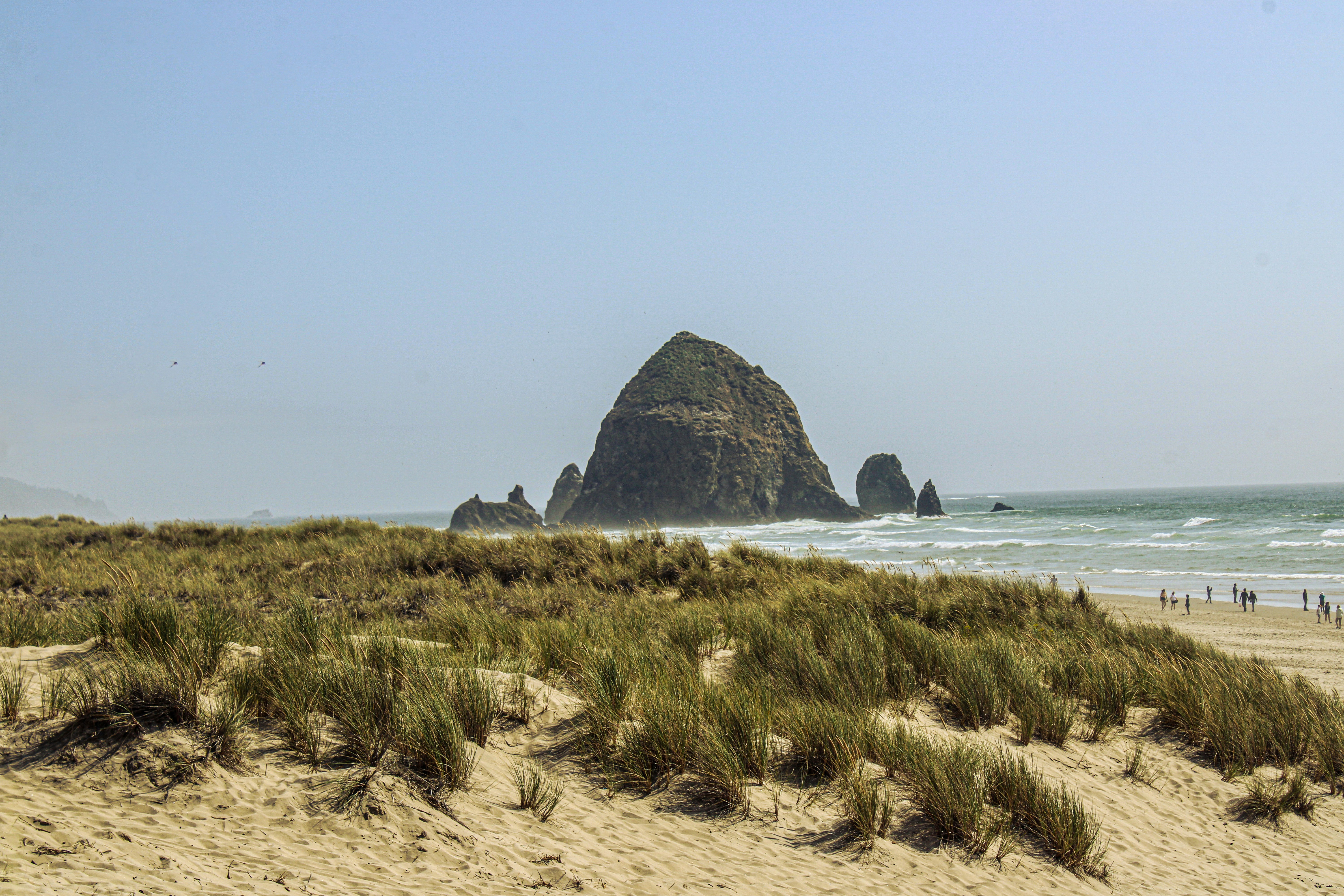 Photo by prphotography262