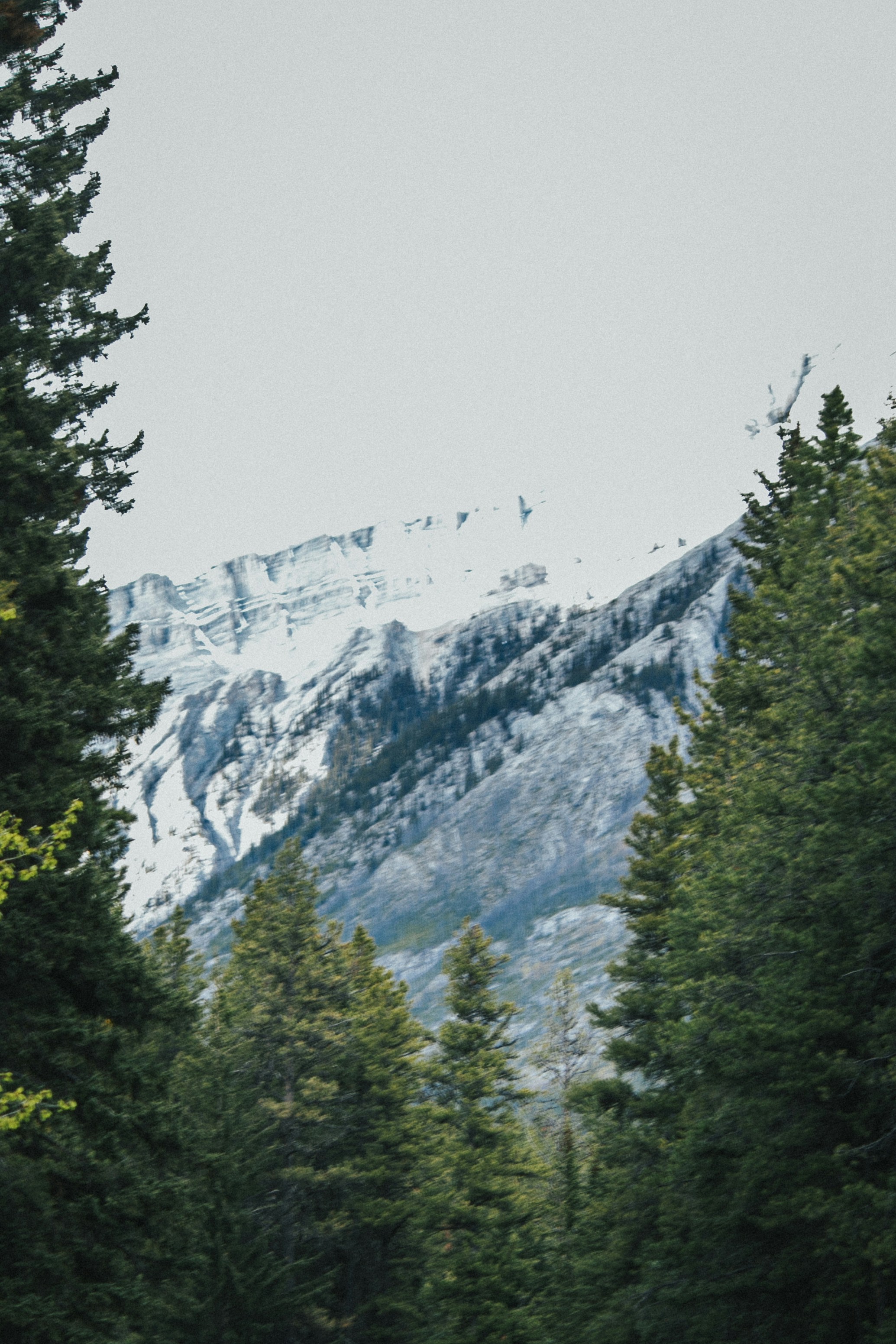 Photo by wlkr_photography