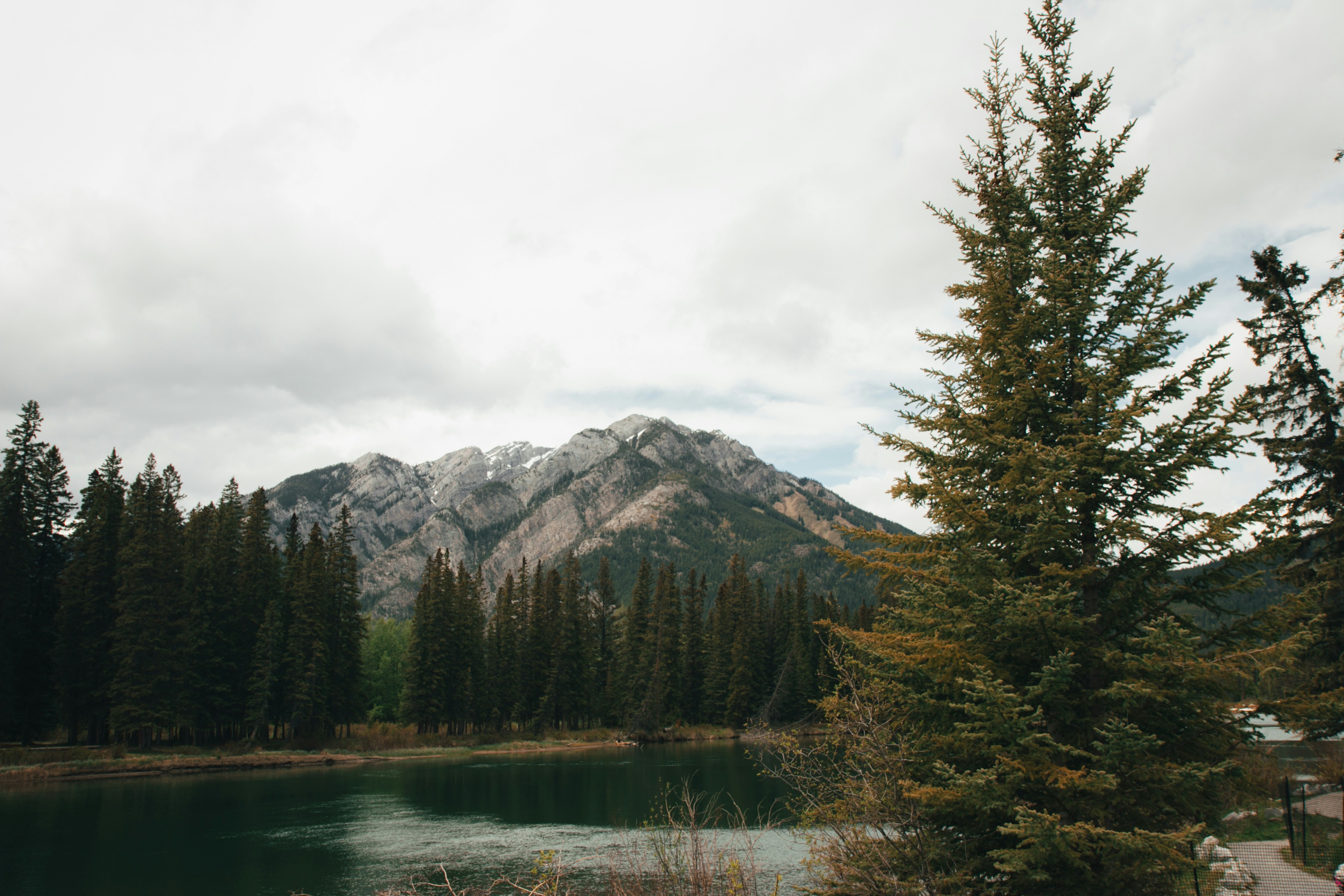 Photo by wlkr_photography