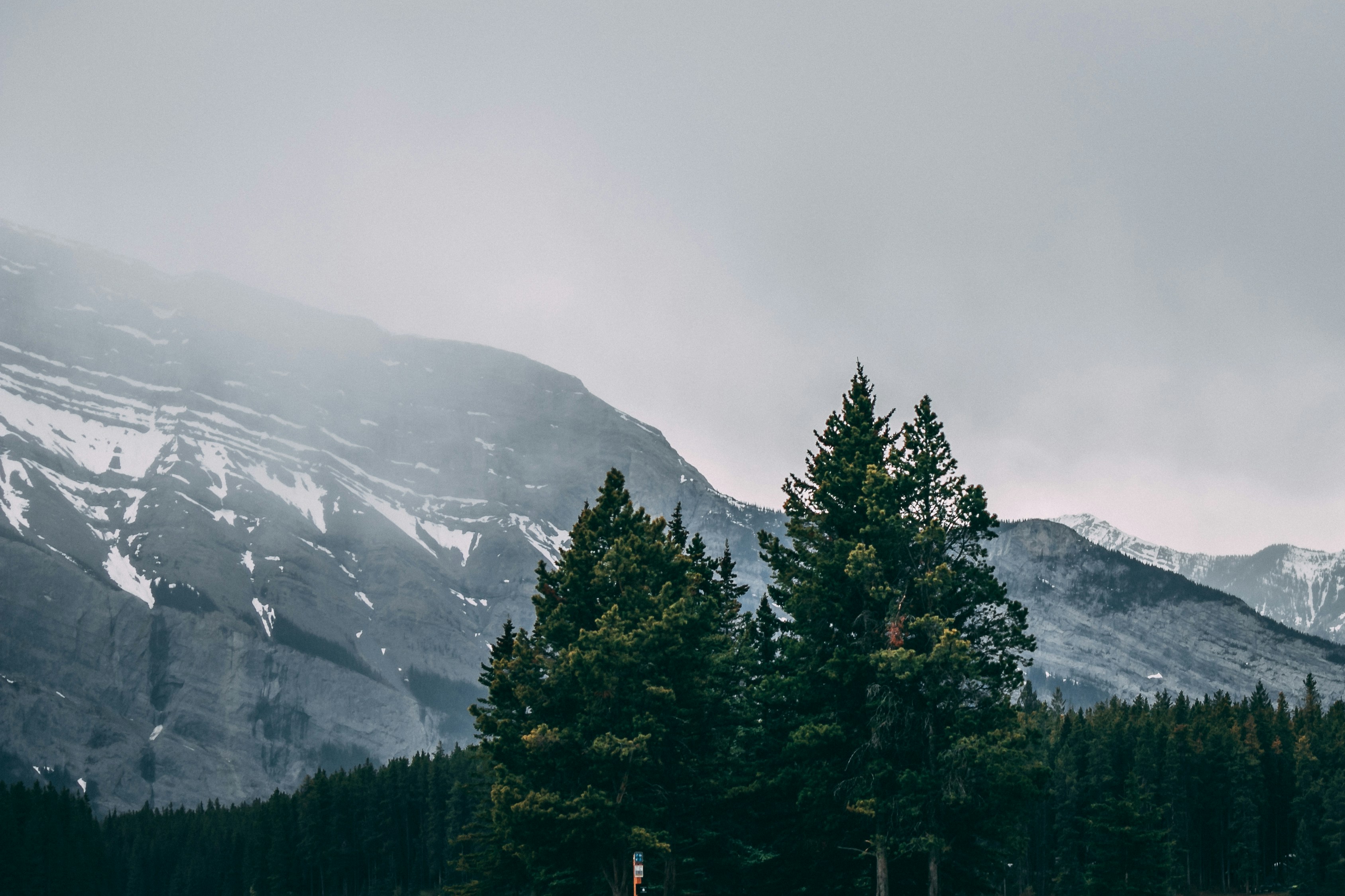 Photo by wlkr_photography