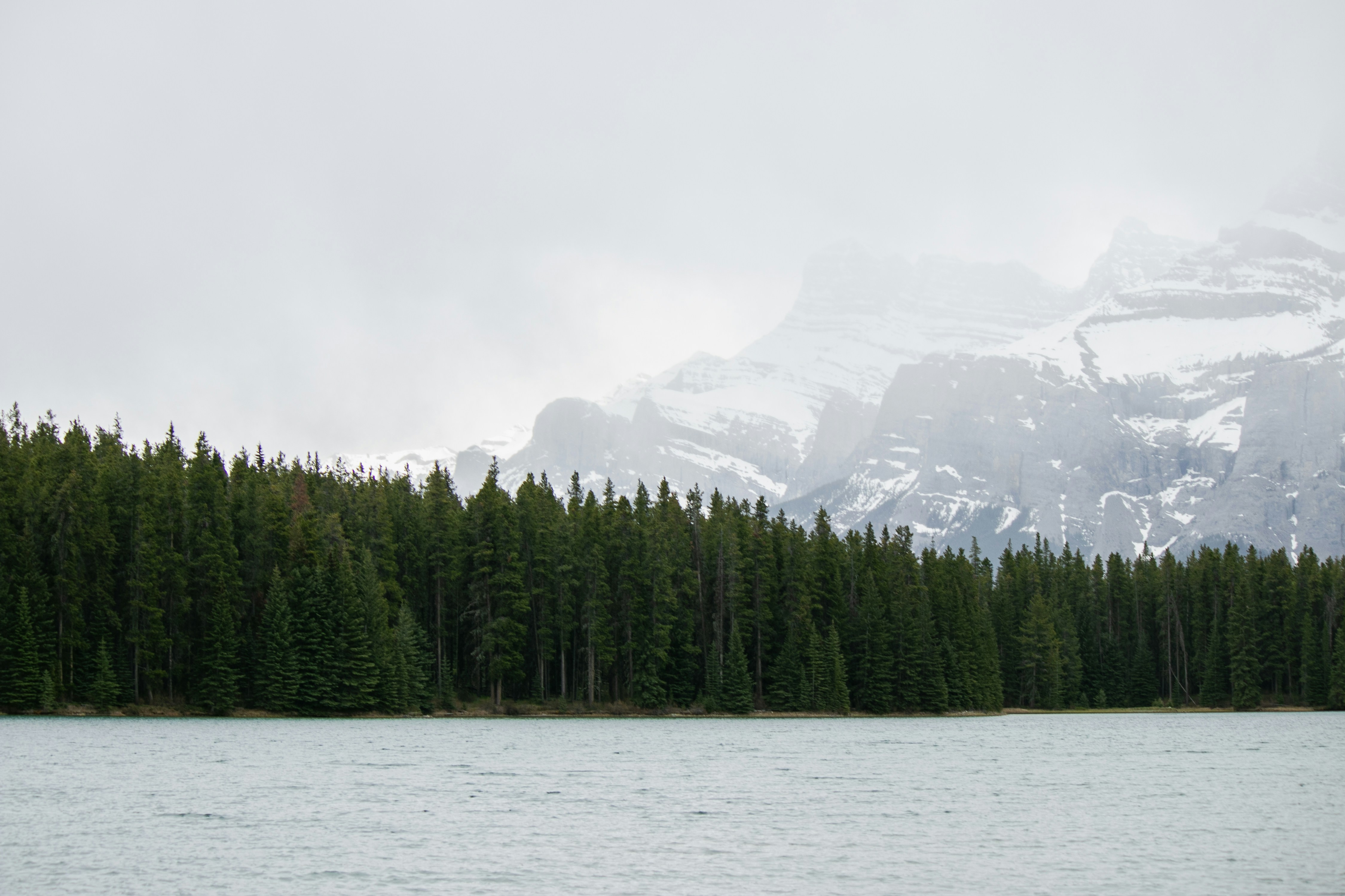 Photo by wlkr_photography