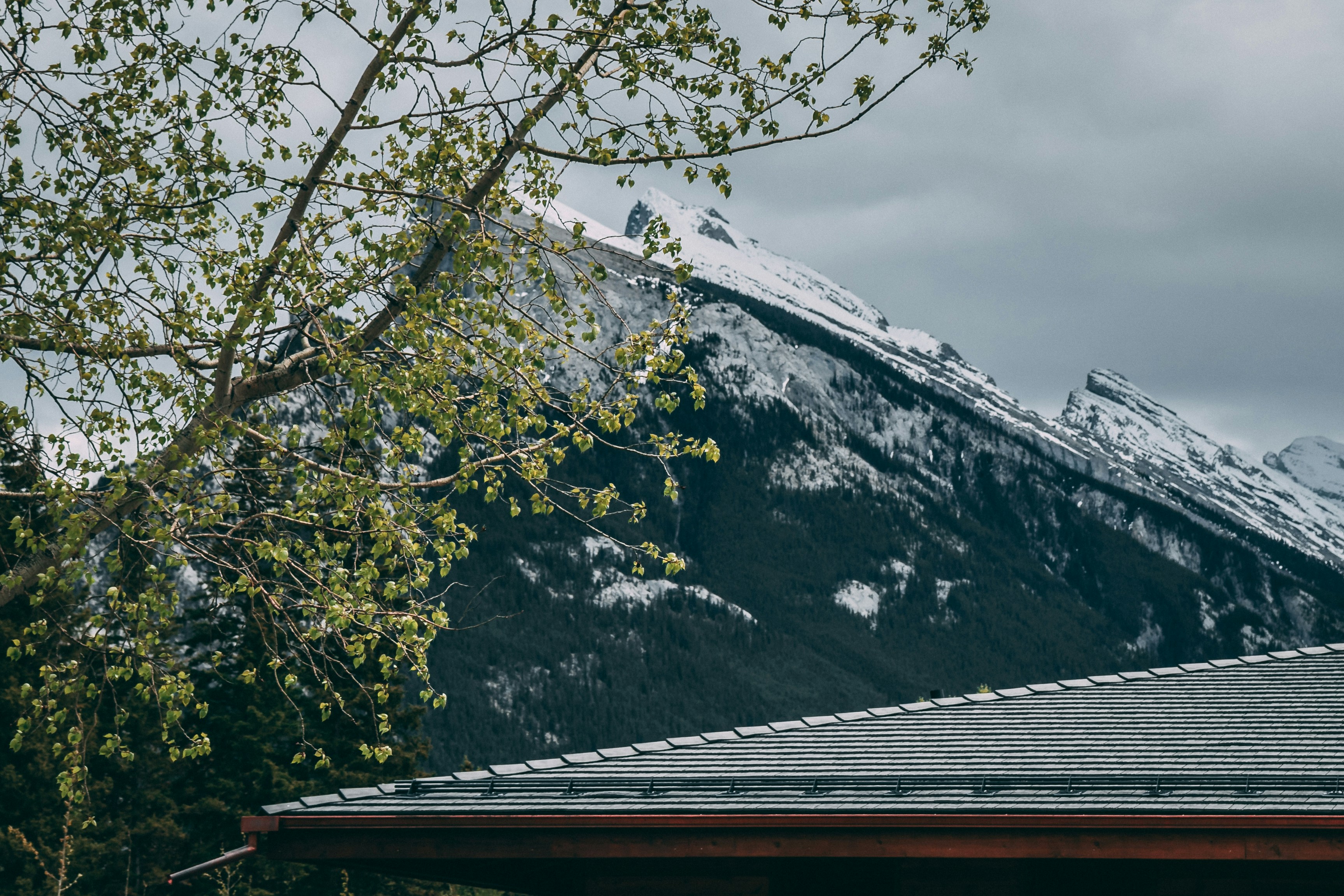 Photo by wlkr_photography