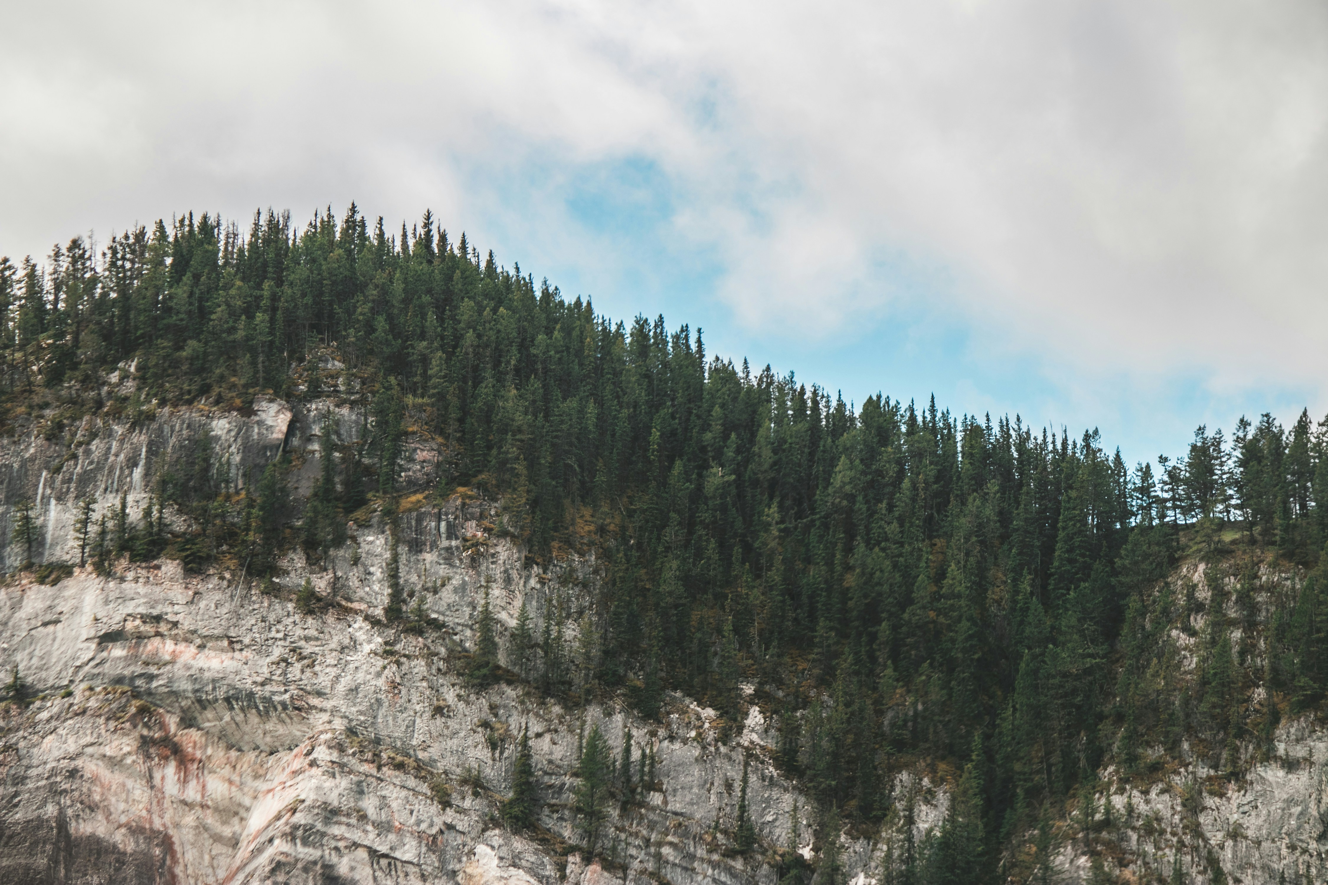 Photo by wlkr_photography