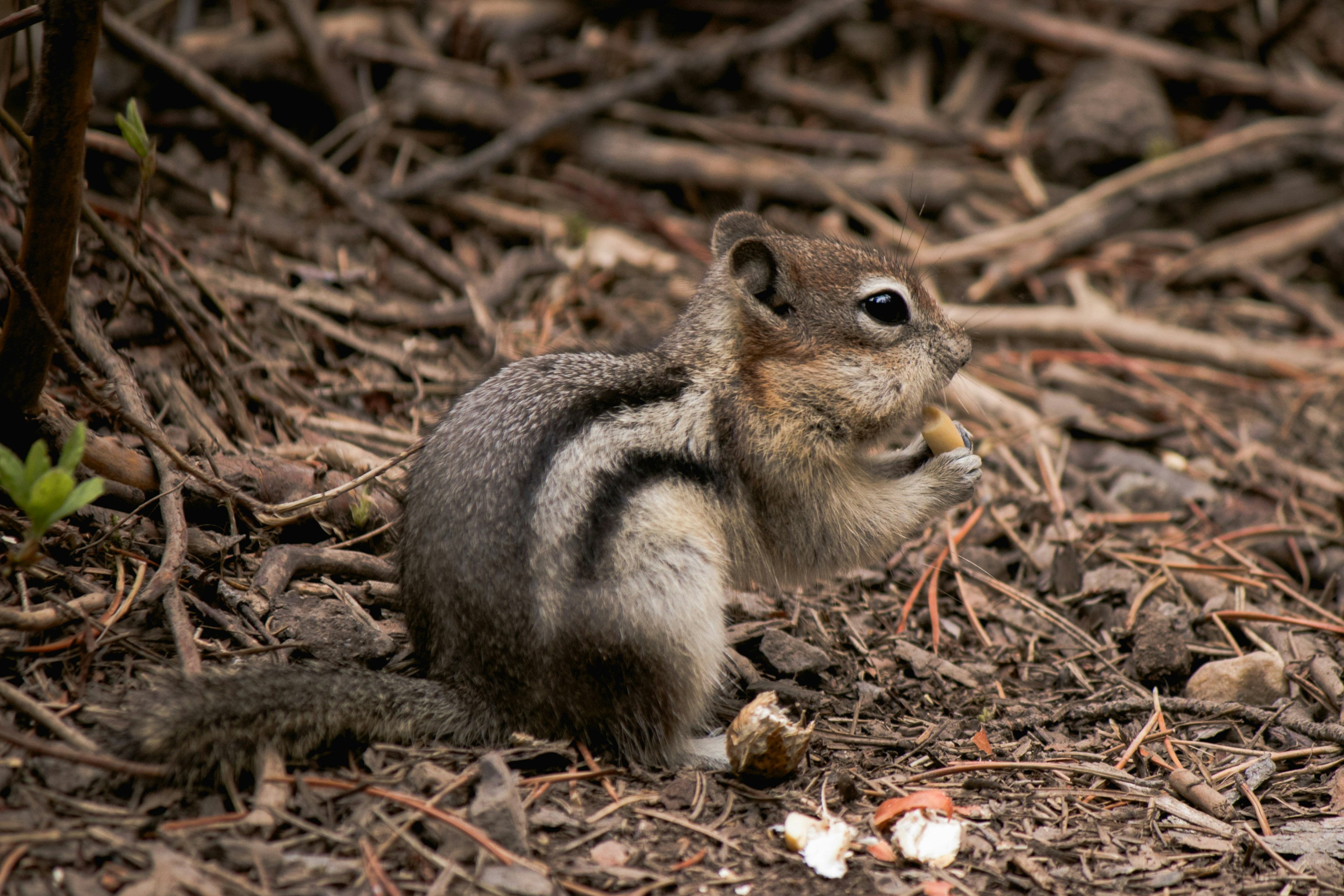 Photo by wlkr_photography