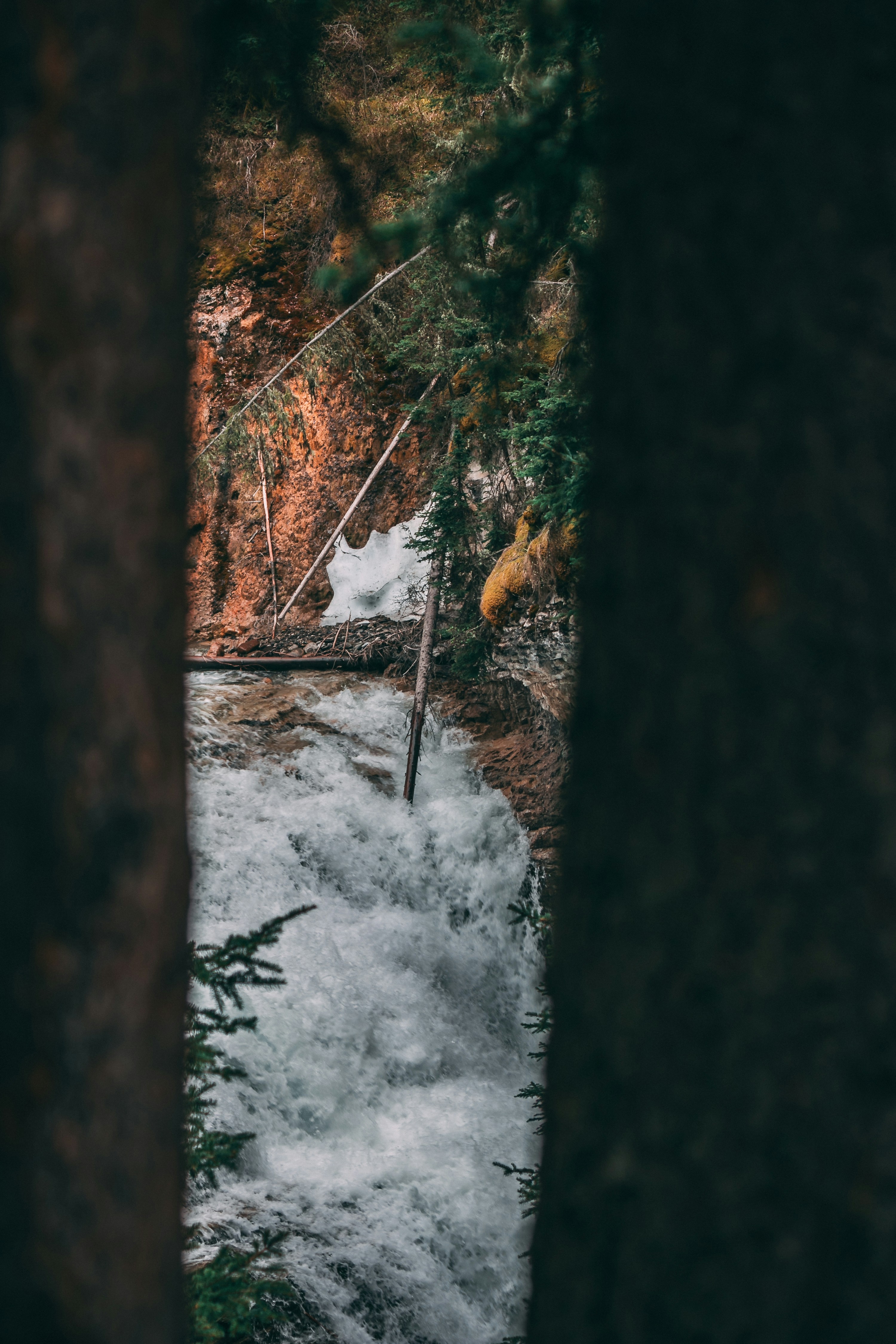 Photo by wlkr_photography