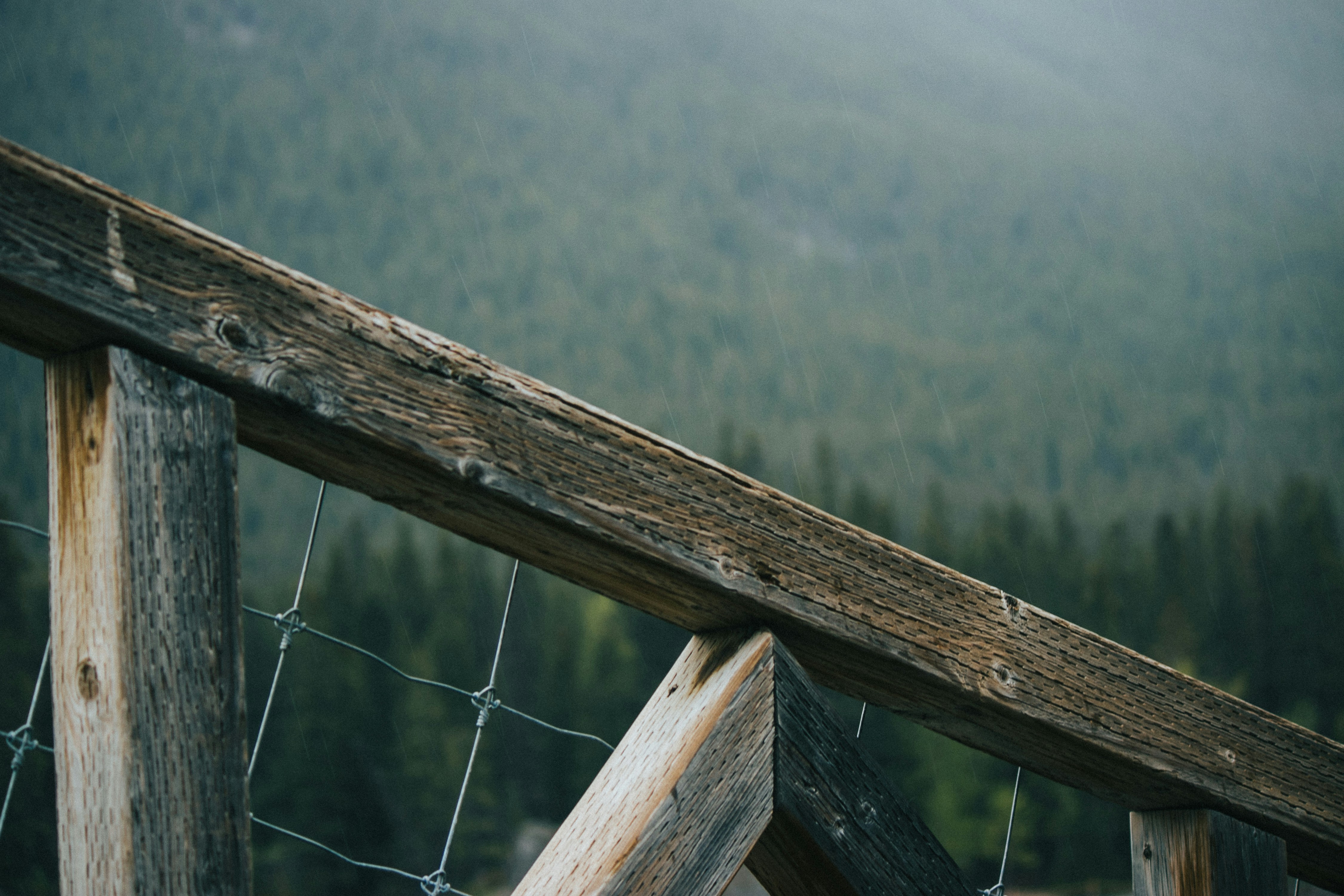 Photo by wlkr_photography