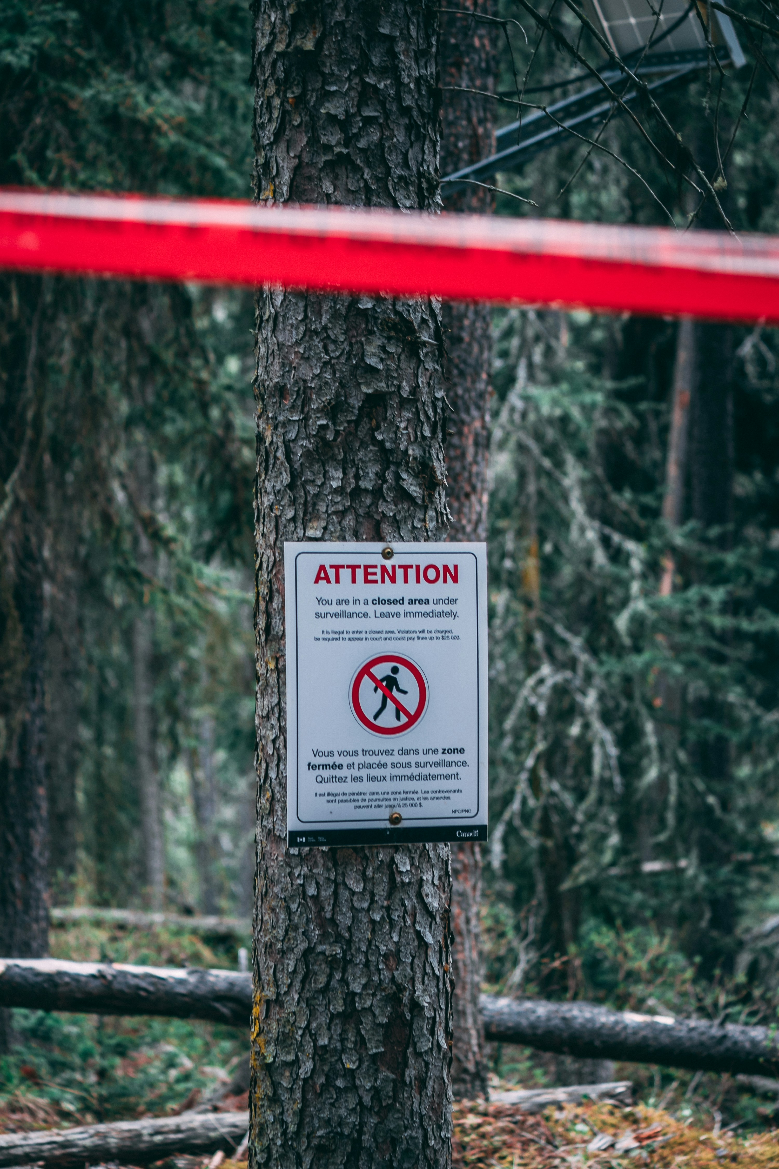 Photo by wlkr_photography