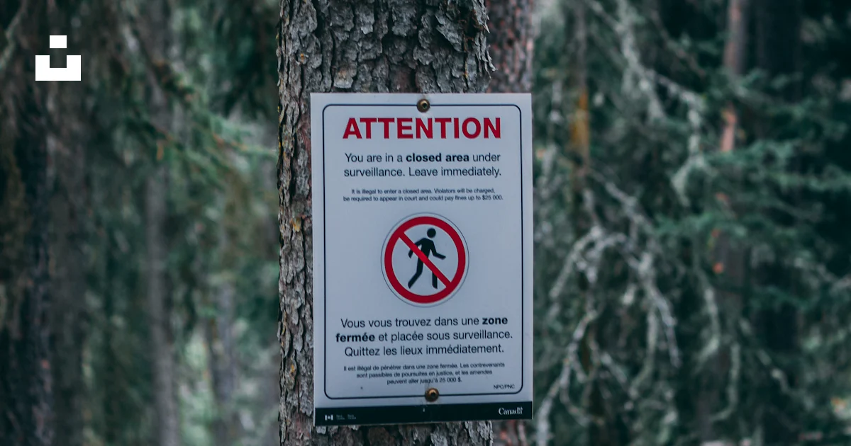 Warning Sign Arbor A caution sign on a tree in a forest photo – Free Symbol Image on Unsplash