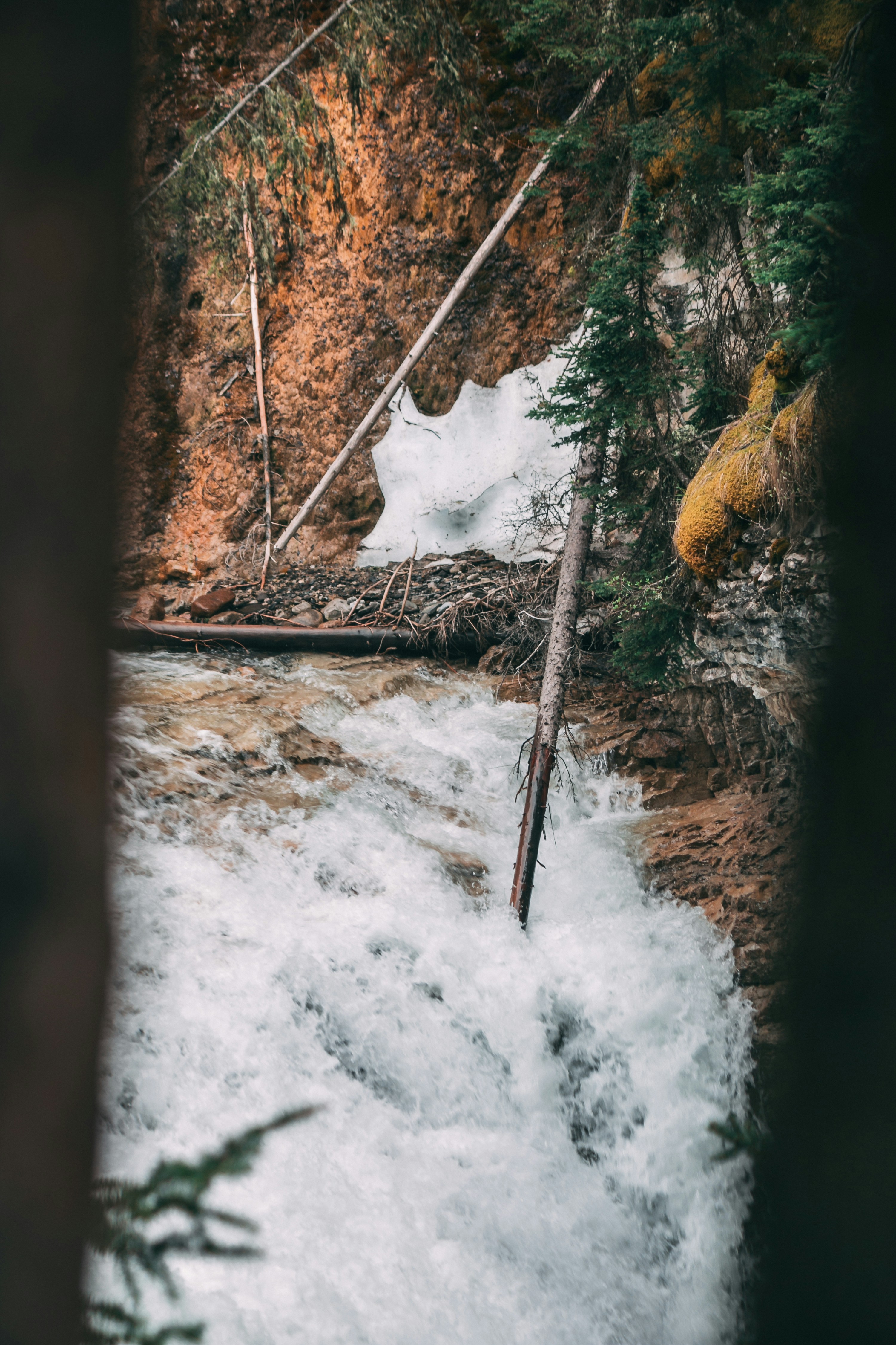Photo by wlkr_photography