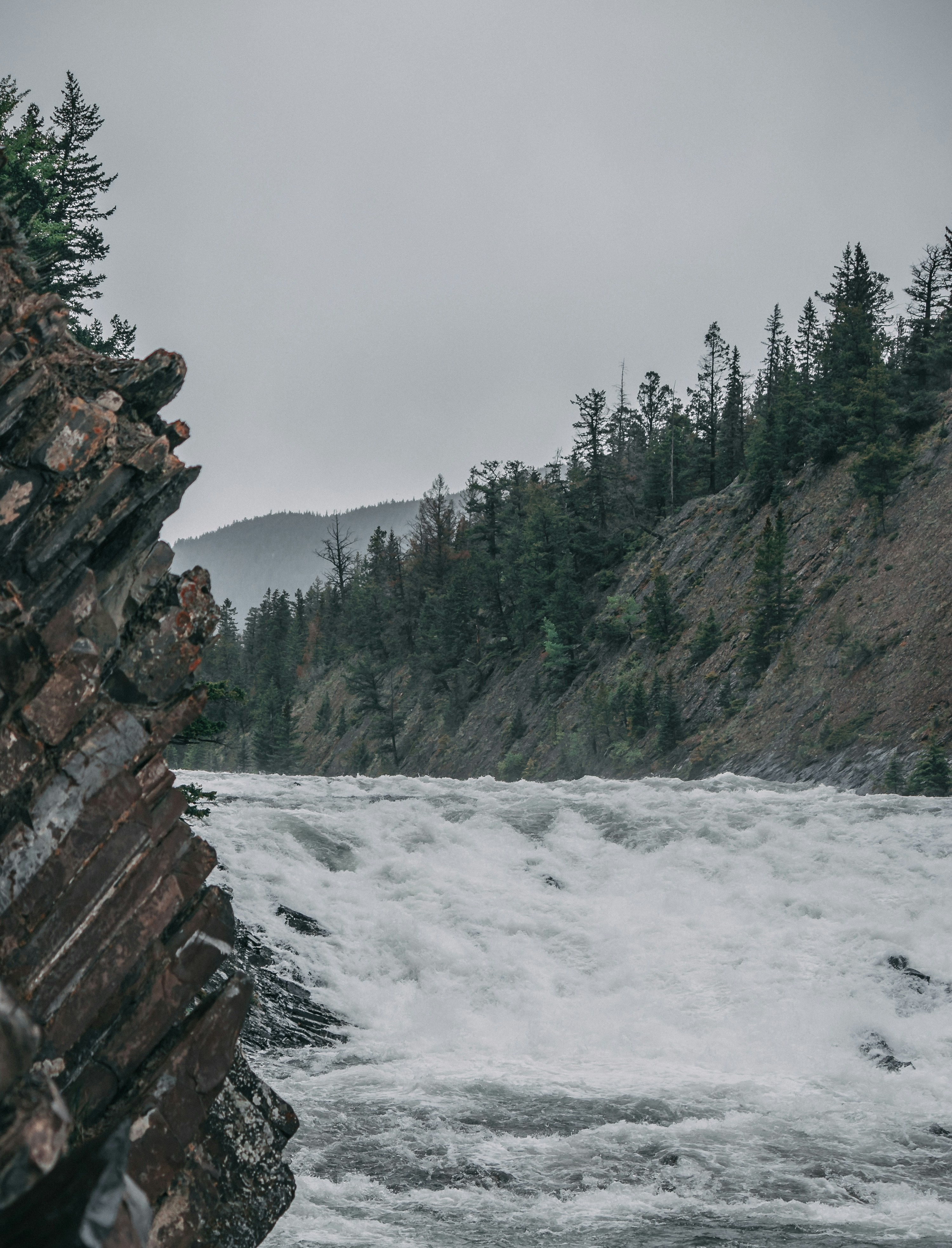 Photo by wlkr_photography