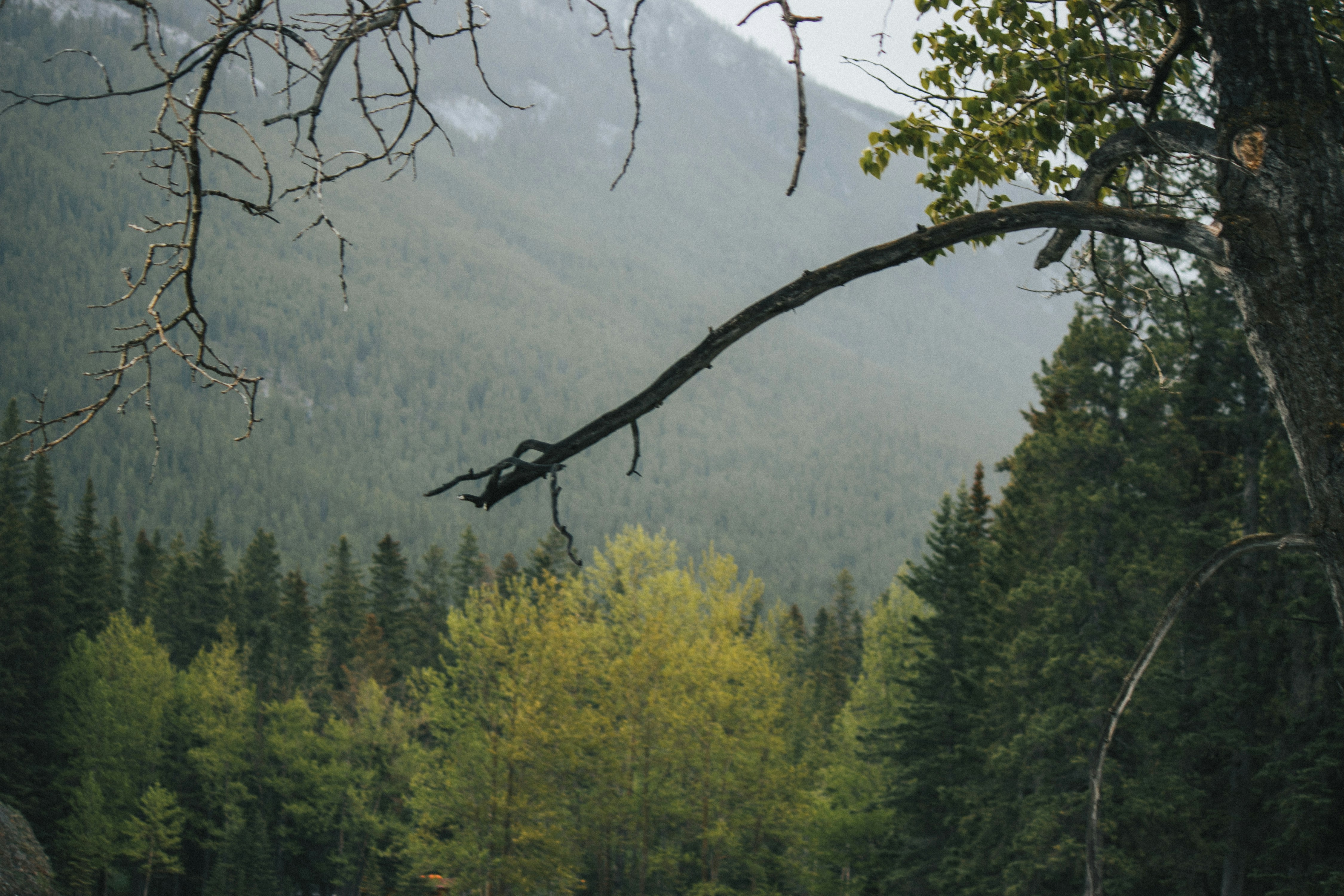 Photo by wlkr_photography