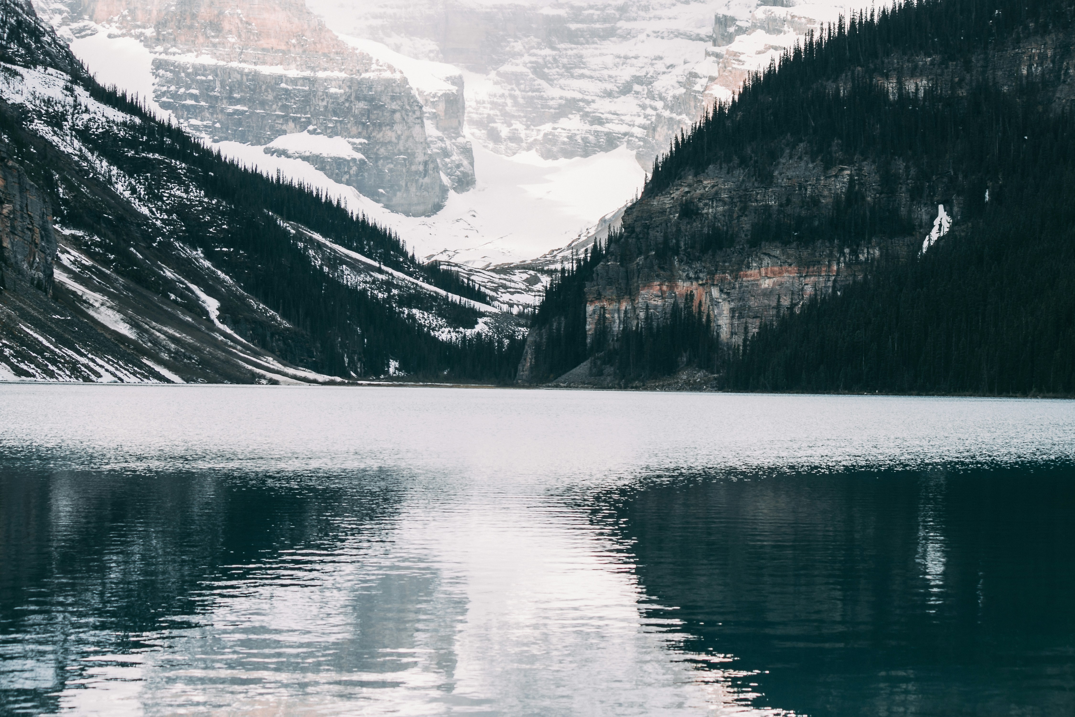 Photo by wlkr_photography