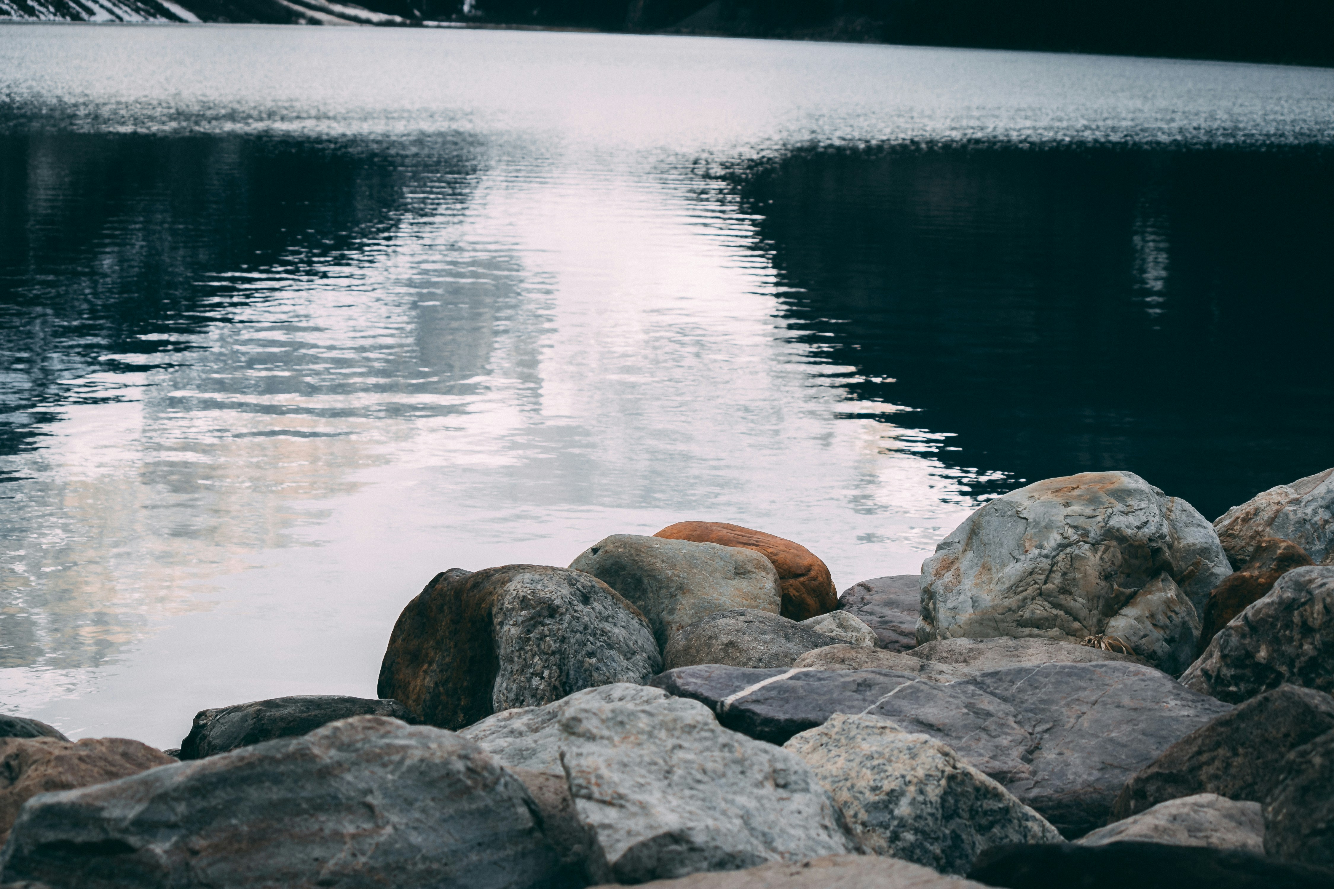 Photo by wlkr_photography