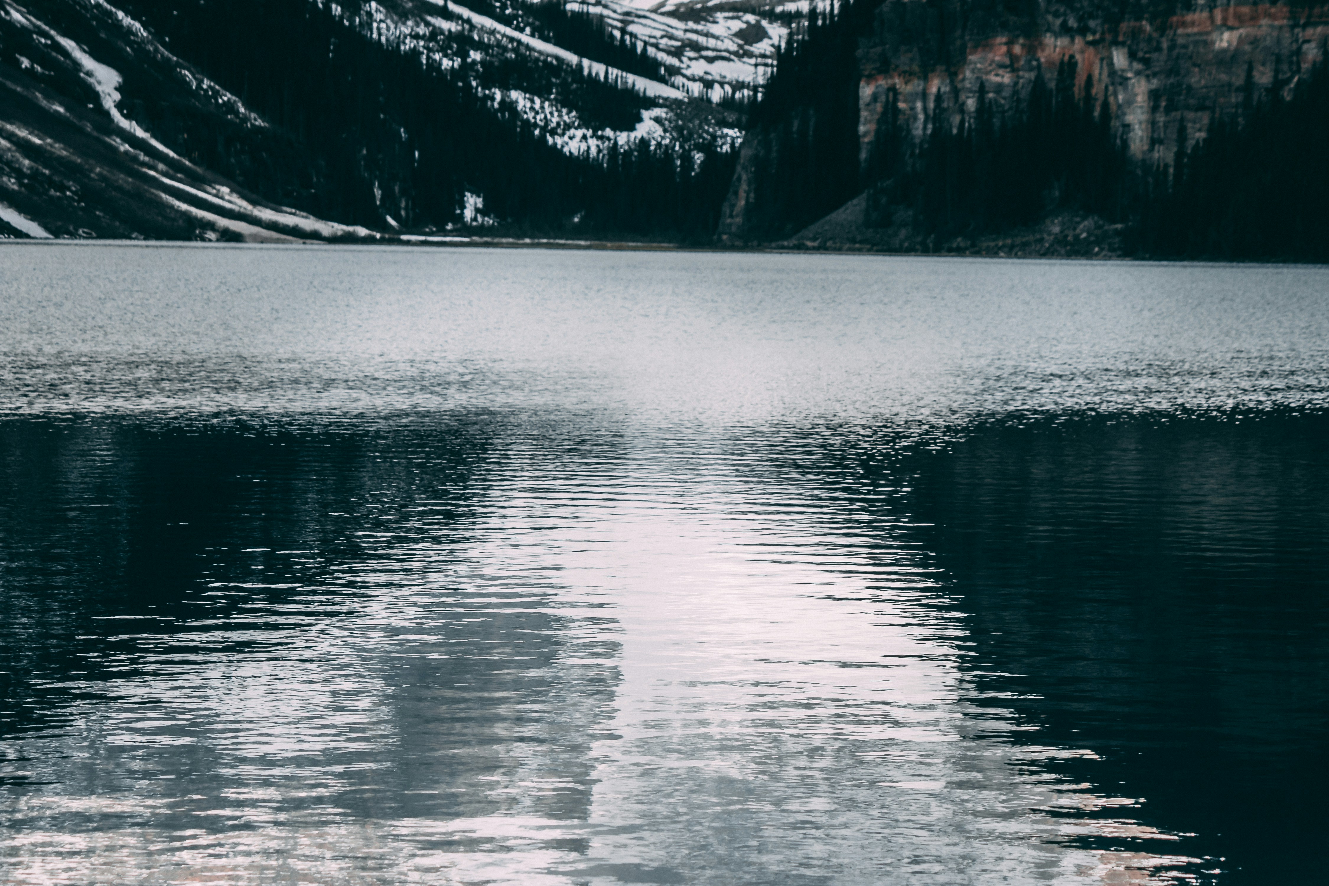 Photo by wlkr_photography